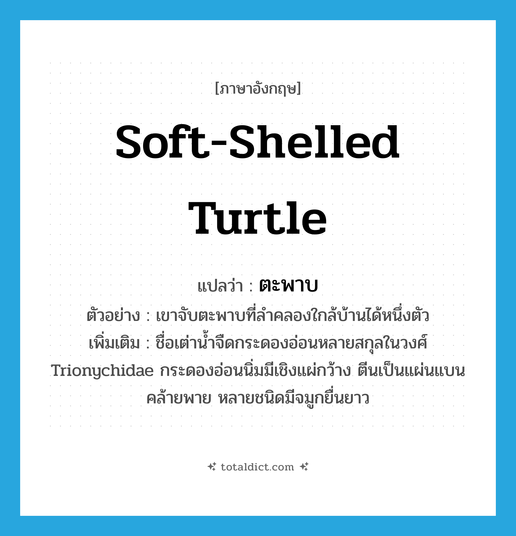 soft-shelled turtle แปลว่า?, คำศัพท์ภาษาอังกฤษ soft-shelled turtle แปลว่า ตะพาบ ประเภท N ตัวอย่าง เขาจับตะพาบที่ลำคลองใกล้บ้านได้หนึ่งตัว เพิ่มเติม ชื่อเต่าน้ำจืดกระดองอ่อนหลายสกุลในวงศ์ Trionychidae กระดองอ่อนนิ่มมีเชิงแผ่กว้าง ตีนเป็นแผ่นแบนคล้ายพาย หลายชนิดมีจมูกยื่นยาว หมวด N