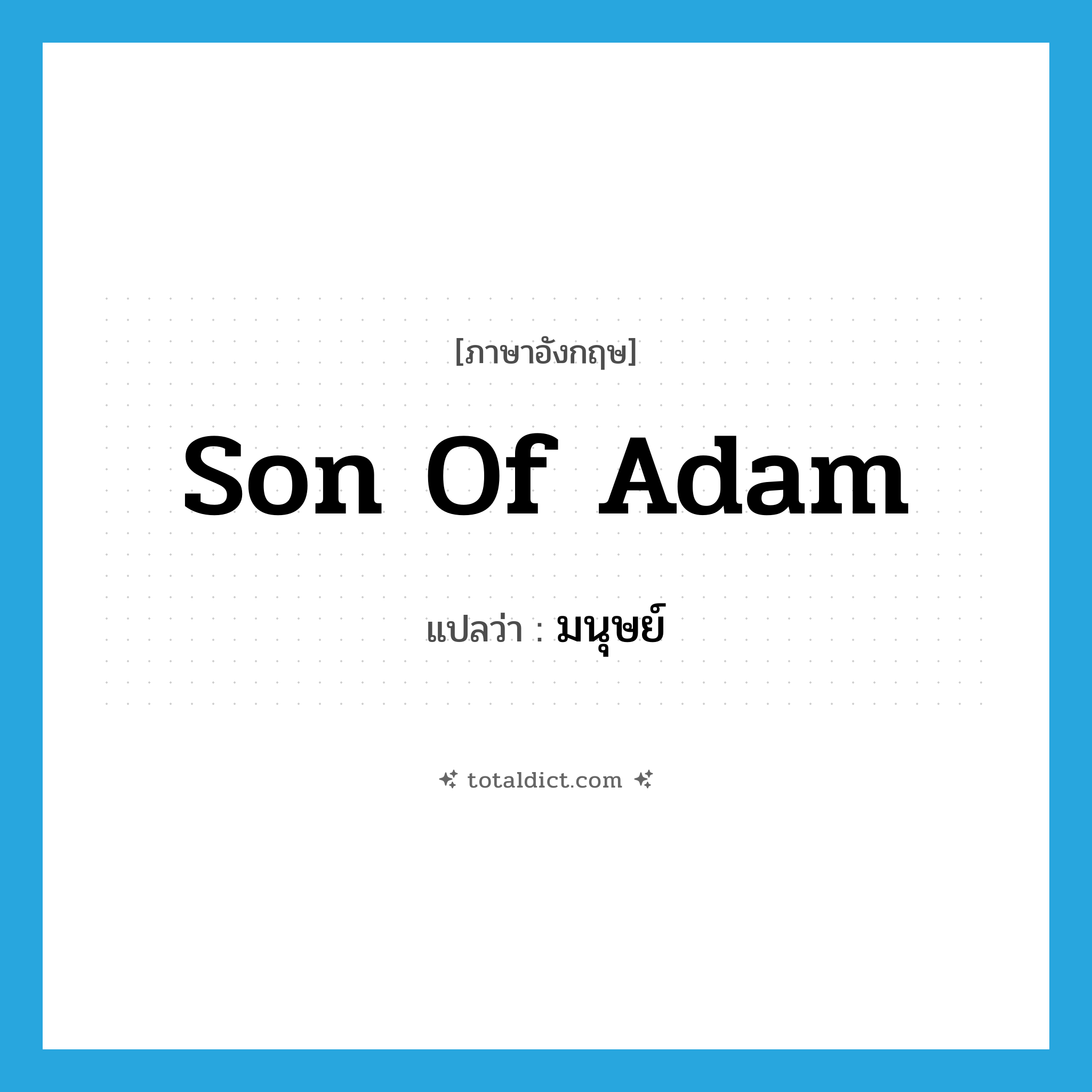 son of Adam แปลว่า?, คำศัพท์ภาษาอังกฤษ son of Adam แปลว่า มนุษย์ ประเภท N หมวด N