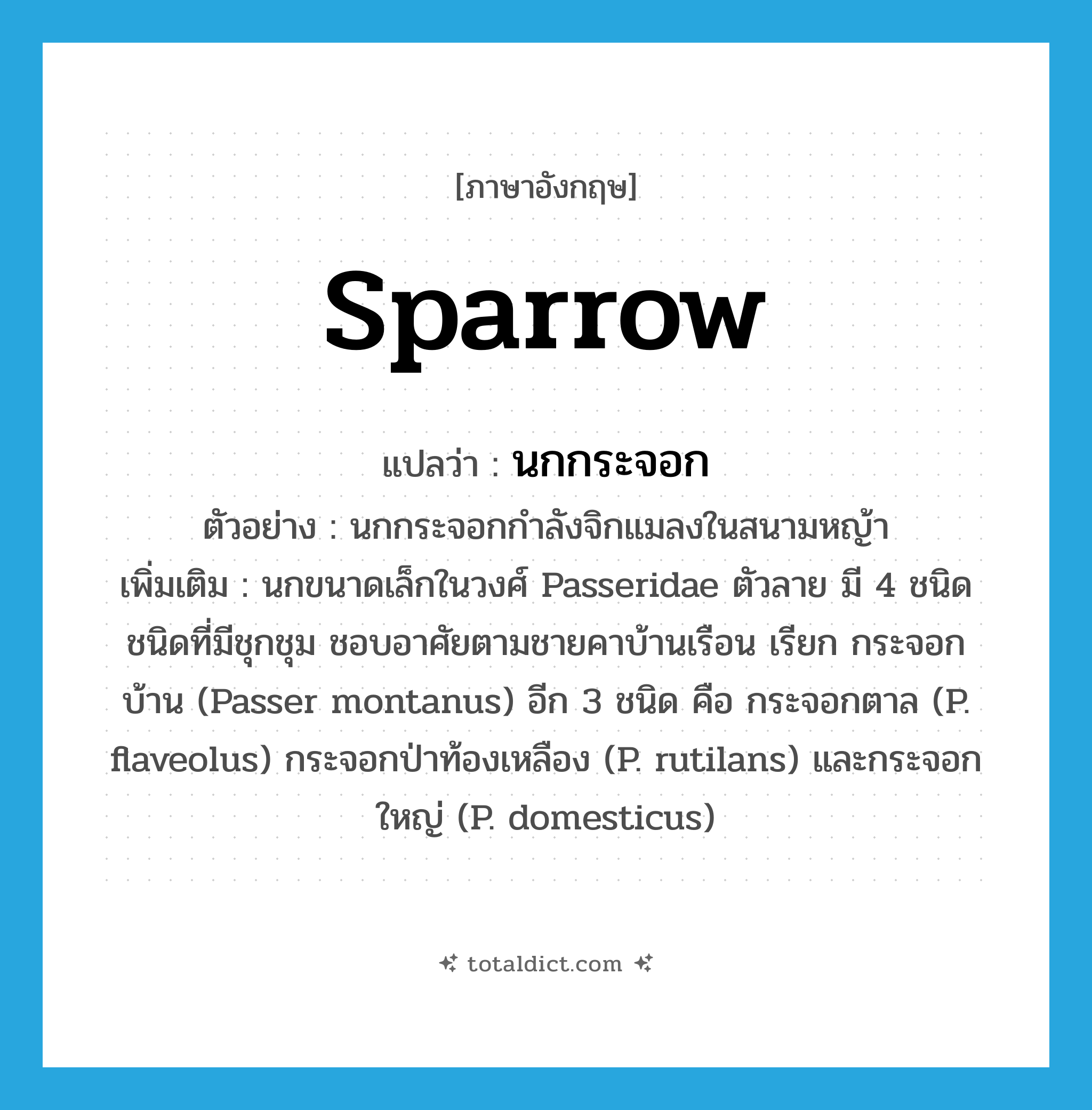 sparrow แปลว่า?, คำศัพท์ภาษาอังกฤษ sparrow แปลว่า นกกระจอก ประเภท N ตัวอย่าง นกกระจอกกำลังจิกแมลงในสนามหญ้า เพิ่มเติม นกขนาดเล็กในวงศ์ Passeridae ตัวลาย มี 4 ชนิด ชนิดที่มีชุกชุม ชอบอาศัยตามชายคาบ้านเรือน เรียก กระจอกบ้าน (Passer montanus) อีก 3 ชนิด คือ กระจอกตาล (P. flaveolus) กระจอกป่าท้องเหลือง (P. rutilans) และกระจอกใหญ่ (P. domesticus) หมวด N