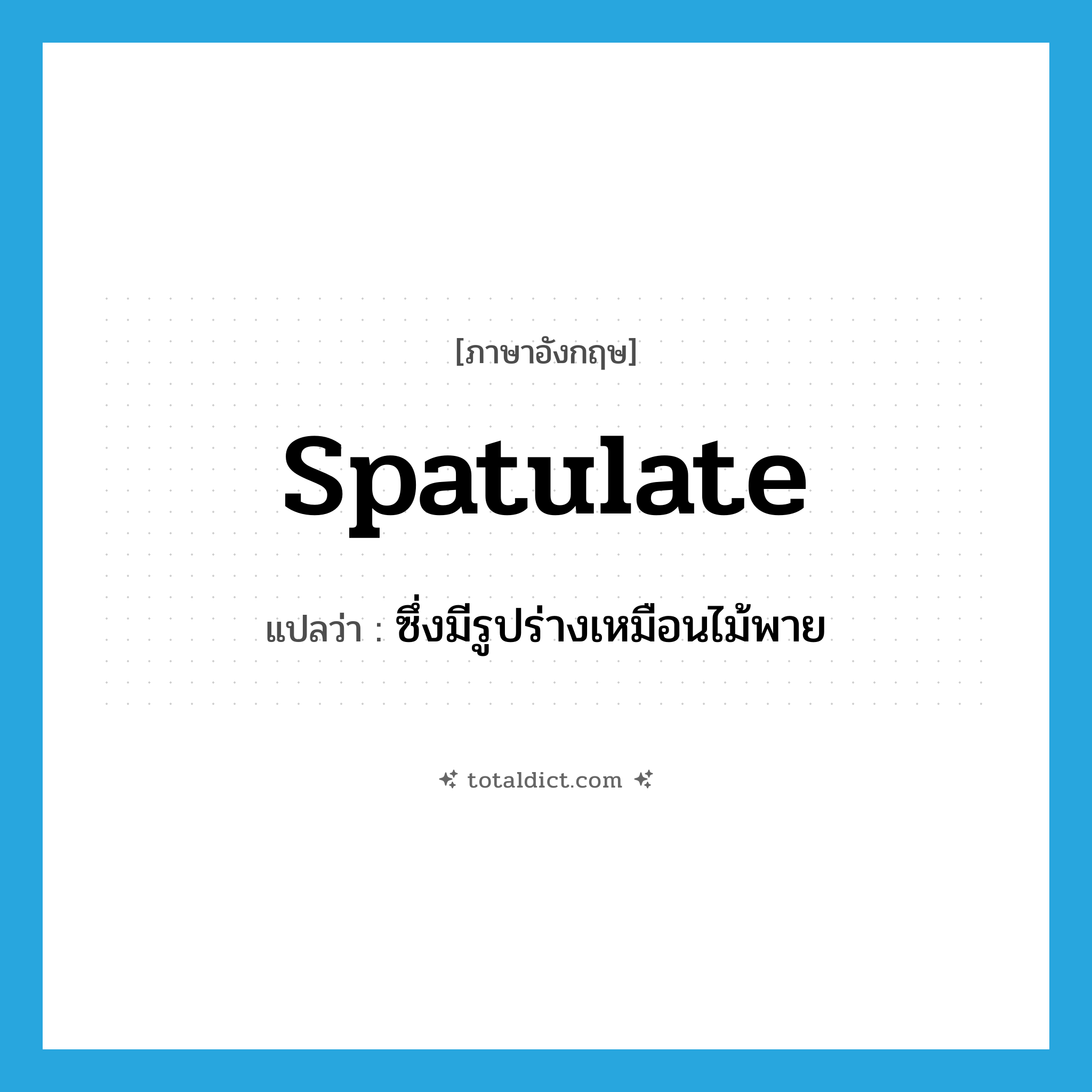 spatulate แปลว่า?, คำศัพท์ภาษาอังกฤษ spatulate แปลว่า ซึ่งมีรูปร่างเหมือนไม้พาย ประเภท ADJ หมวด ADJ