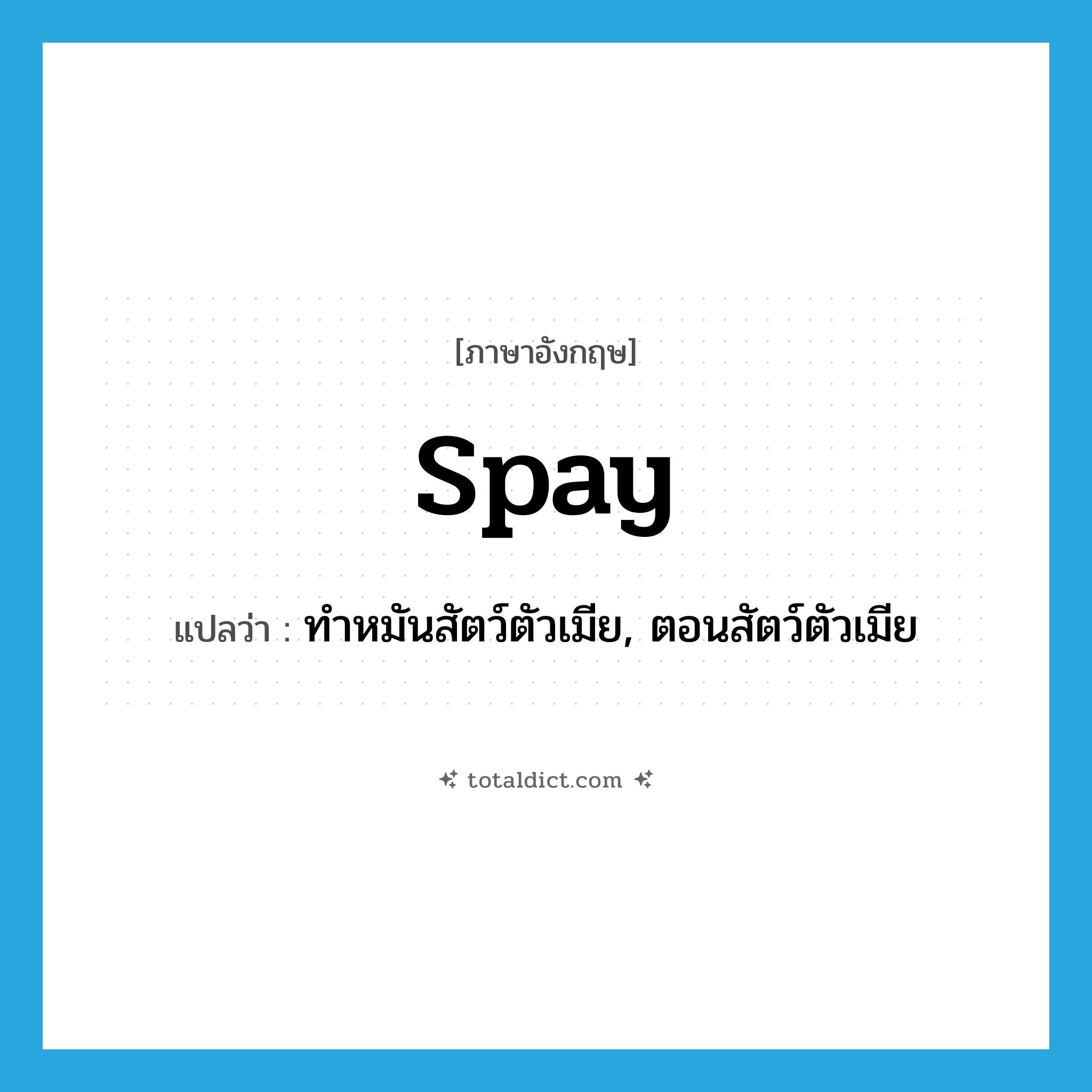 spay แปลว่า?, คำศัพท์ภาษาอังกฤษ spay แปลว่า ทำหมันสัตว์ตัวเมีย, ตอนสัตว์ตัวเมีย ประเภท VT หมวด VT