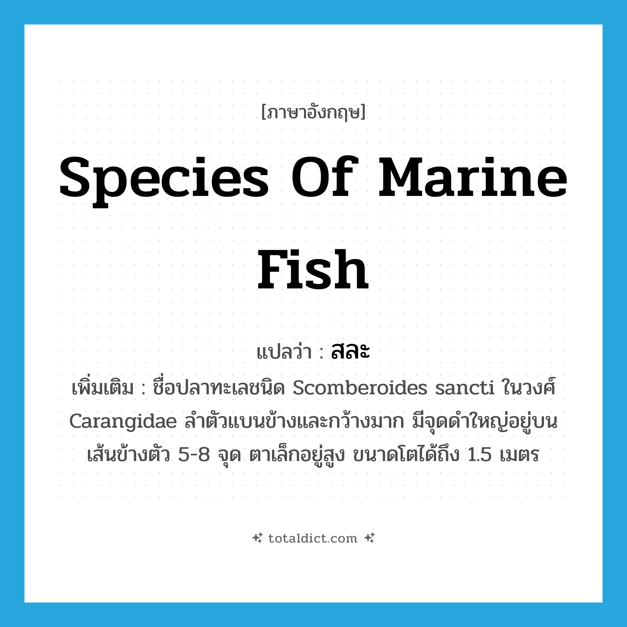 species of marine fish แปลว่า?, คำศัพท์ภาษาอังกฤษ species of marine fish แปลว่า สละ ประเภท N เพิ่มเติม ชื่อปลาทะเลชนิด Scomberoides sancti ในวงศ์ Carangidae ลำตัวแบนข้างและกว้างมาก มีจุดดำใหญ่อยู่บนเส้นข้างตัว 5-8 จุด ตาเล็กอยู่สูง ขนาดโตได้ถึง 1.5 เมตร หมวด N