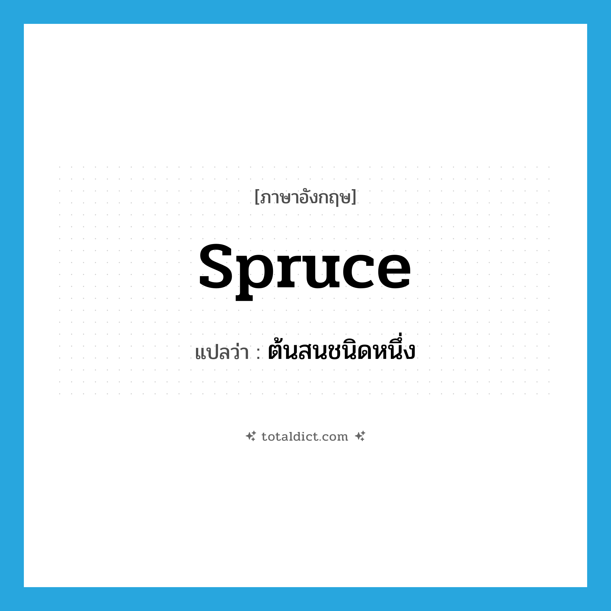 spruce แปลว่า?, คำศัพท์ภาษาอังกฤษ spruce แปลว่า ต้นสนชนิดหนึ่ง ประเภท N หมวด N