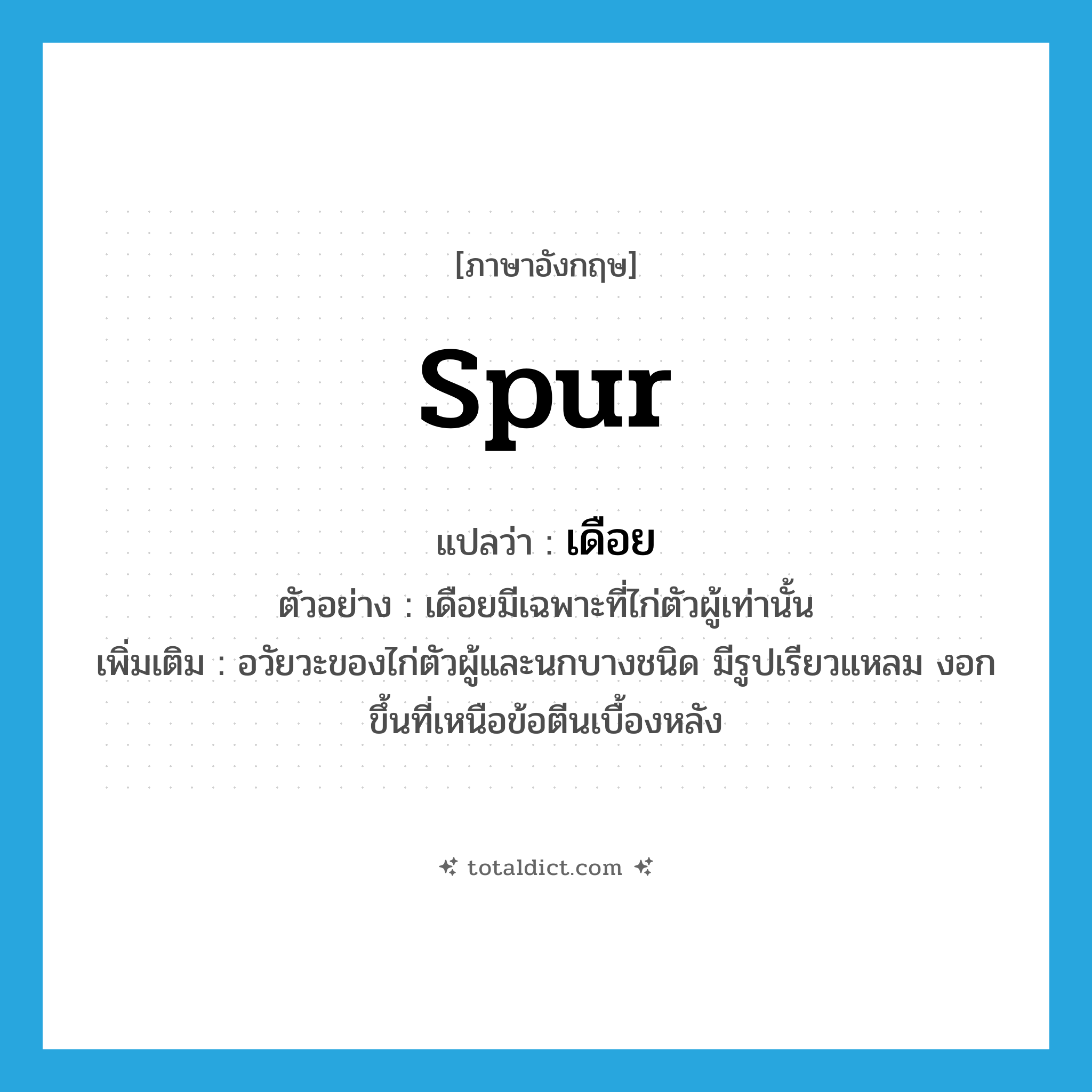 spur แปลว่า?, คำศัพท์ภาษาอังกฤษ spur แปลว่า เดือย ประเภท N ตัวอย่าง เดือยมีเฉพาะที่ไก่ตัวผู้เท่านั้น เพิ่มเติม อวัยวะของไก่ตัวผู้และนกบางชนิด มีรูปเรียวแหลม งอกขึ้นที่เหนือข้อตีนเบื้องหลัง หมวด N