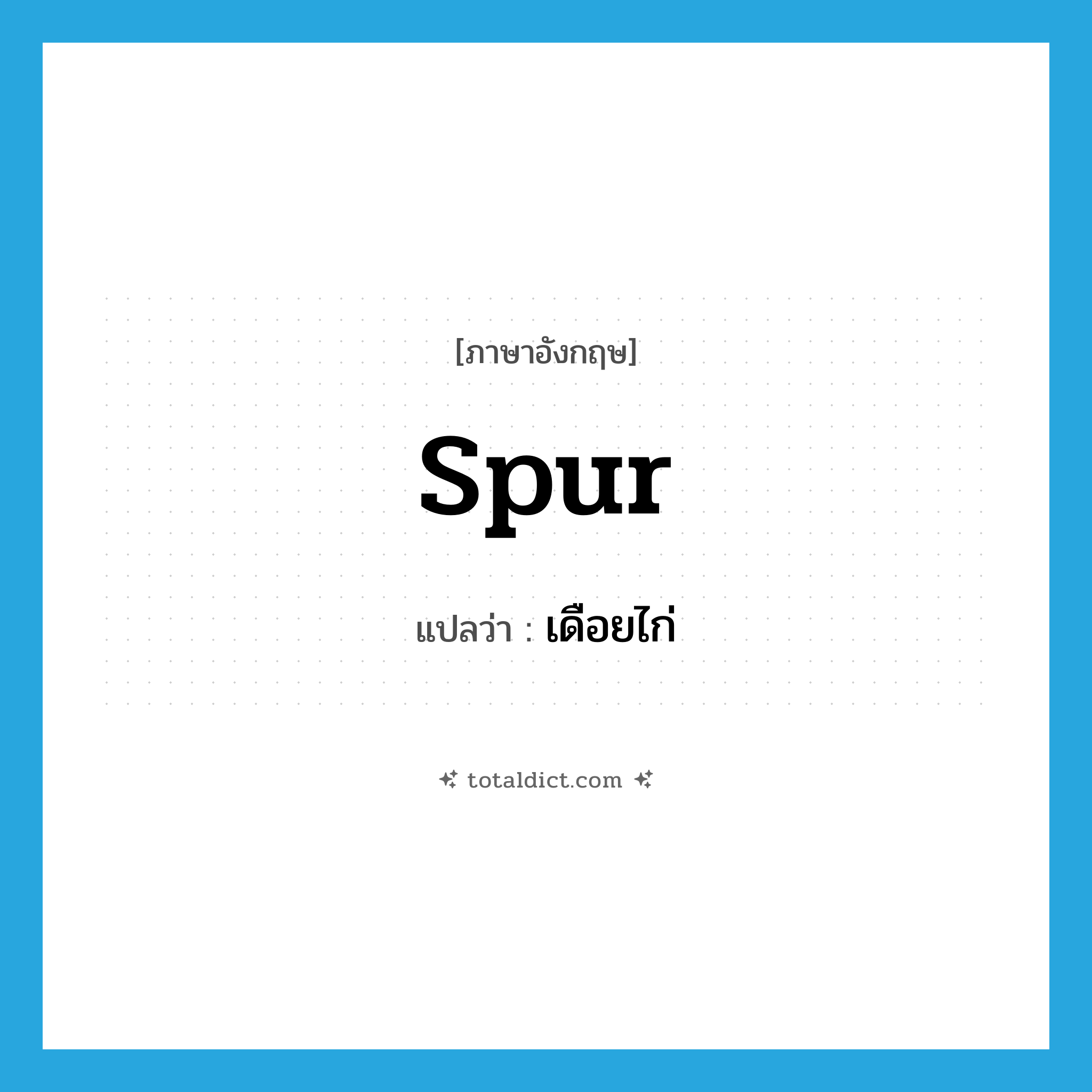 spur แปลว่า?, คำศัพท์ภาษาอังกฤษ spur แปลว่า เดือยไก่ ประเภท N หมวด N