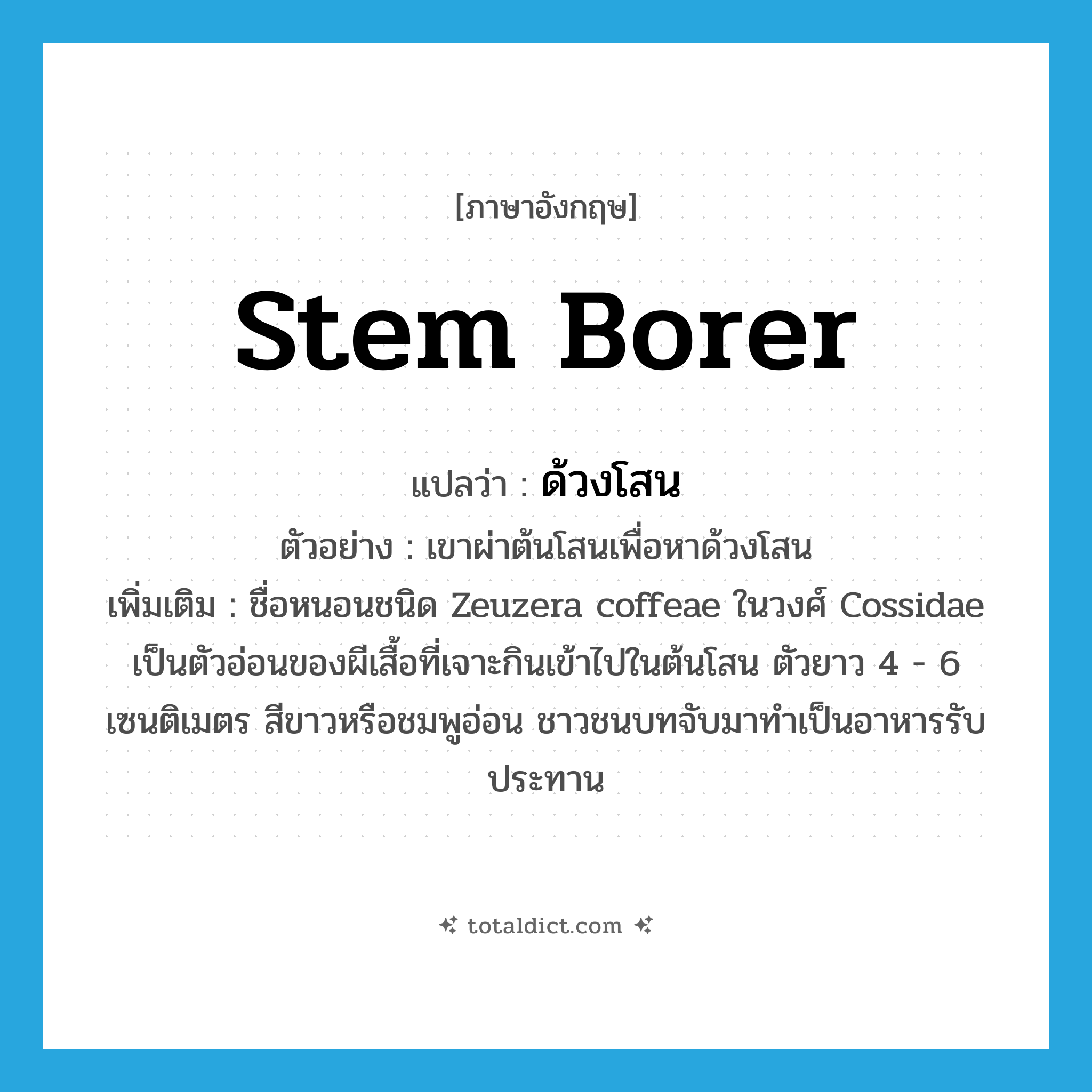 stem borer แปลว่า?, คำศัพท์ภาษาอังกฤษ stem borer แปลว่า ด้วงโสน ประเภท N ตัวอย่าง เขาผ่าต้นโสนเพื่อหาด้วงโสน เพิ่มเติม ชื่อหนอนชนิด Zeuzera coffeae ในวงศ์ Cossidae เป็นตัวอ่อนของผีเสื้อที่เจาะกินเข้าไปในต้นโสน ตัวยาว 4 - 6 เซนติเมตร สีขาวหรือชมพูอ่อน ชาวชนบทจับมาทำเป็นอาหารรับประทาน หมวด N