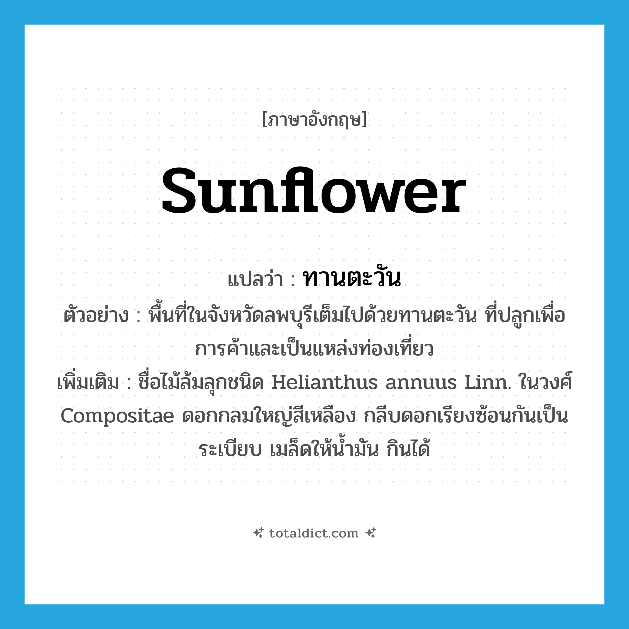 sunflower แปลว่า?, คำศัพท์ภาษาอังกฤษ sunflower แปลว่า ทานตะวัน ประเภท N ตัวอย่าง พื้นที่ในจังหวัดลพบุรีเต็มไปด้วยทานตะวัน ที่ปลูกเพื่อการค้าและเป็นแหล่งท่องเที่ยว เพิ่มเติม ชื่อไม้ล้มลุกชนิด Helianthus annuus Linn. ในวงศ์ Compositae ดอกกลมใหญ่สีเหลือง กลีบดอกเรียงซ้อนกันเป็นระเบียบ เมล็ดให้น้ำมัน กินได้ หมวด N