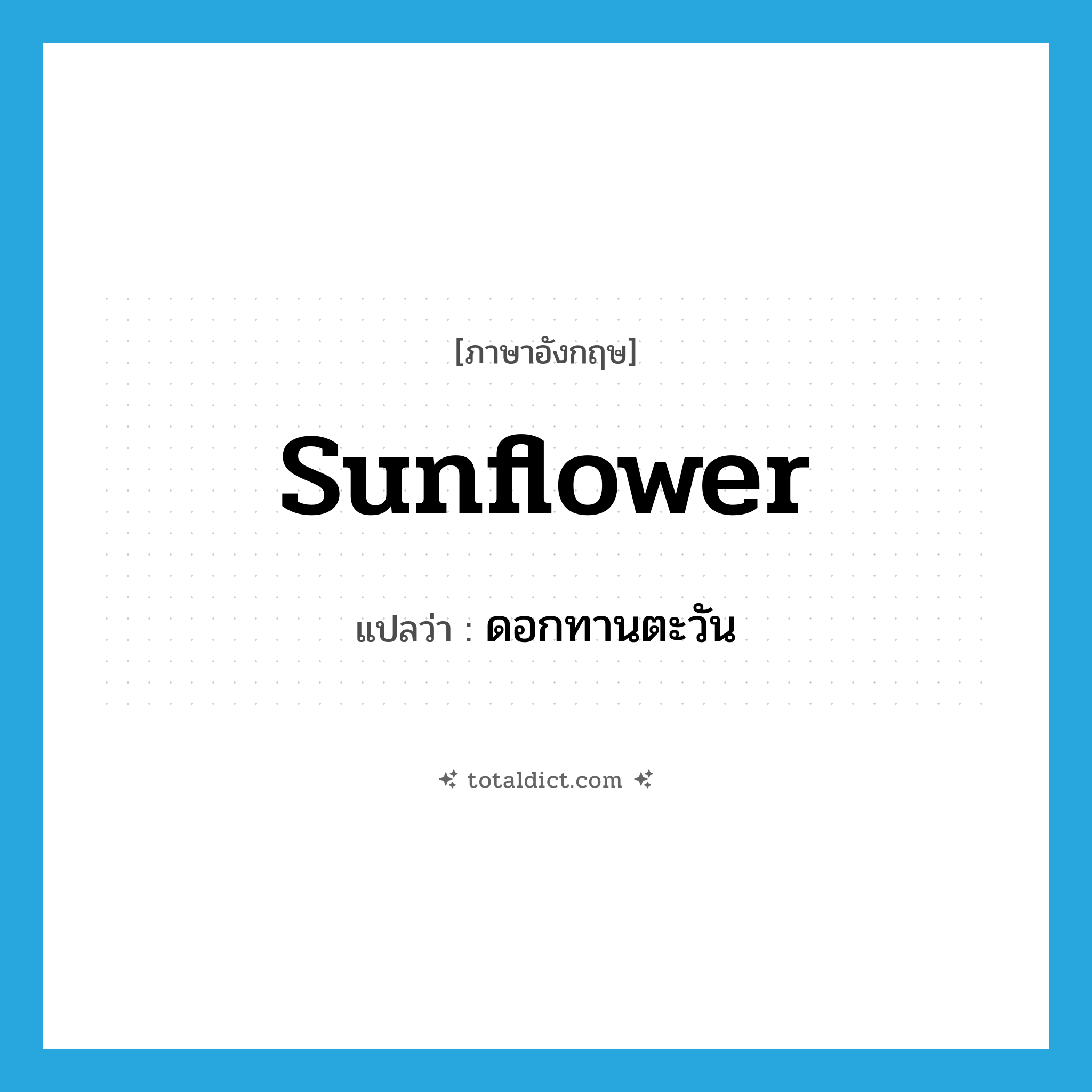 sunflower แปลว่า?, คำศัพท์ภาษาอังกฤษ sunflower แปลว่า ดอกทานตะวัน ประเภท N หมวด N