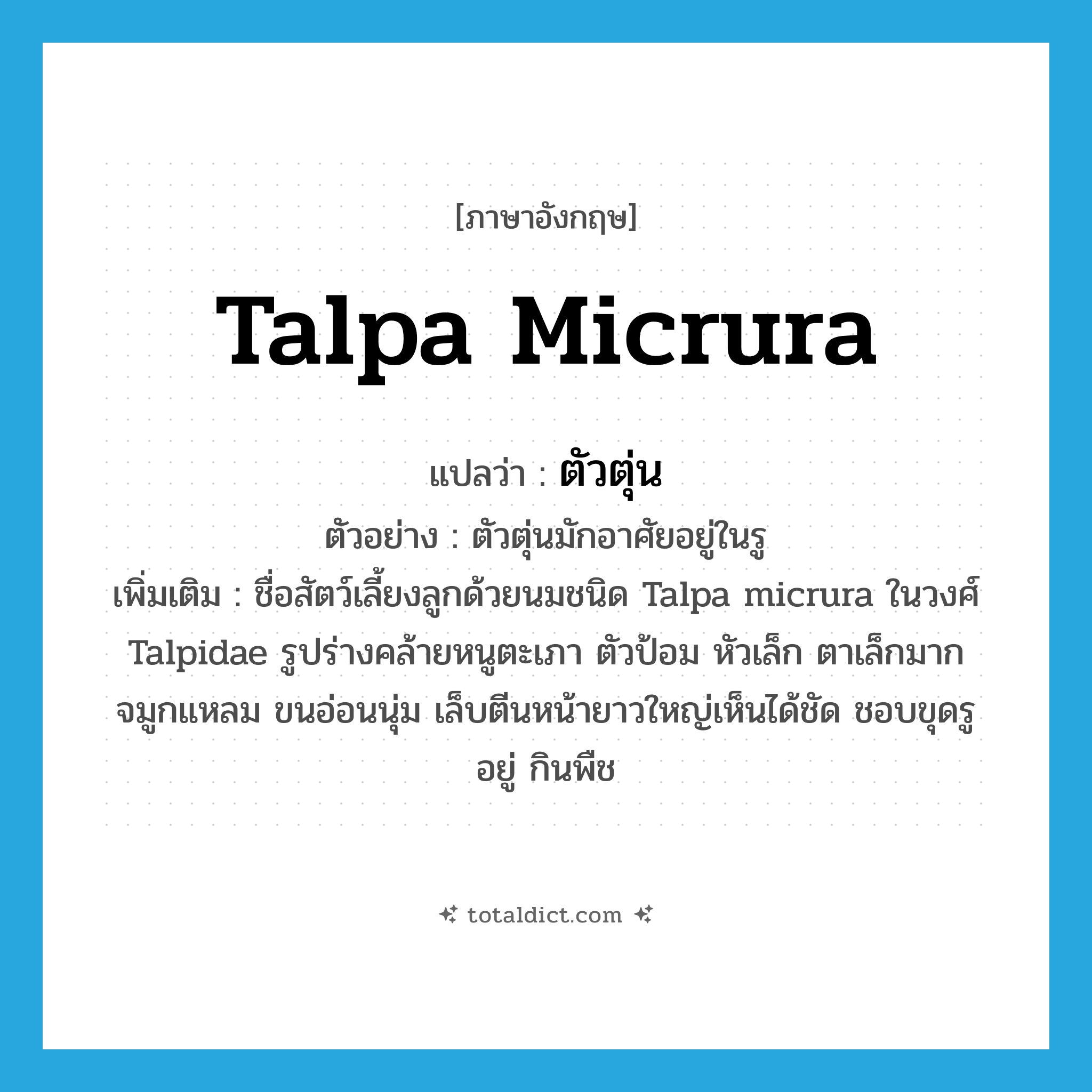 Talpa micrura แปลว่า?, คำศัพท์ภาษาอังกฤษ Talpa micrura แปลว่า ตัวตุ่น ประเภท N ตัวอย่าง ตัวตุ่นมักอาศัยอยู่ในรู เพิ่มเติม ชื่อสัตว์เลี้ยงลูกด้วยนมชนิด Talpa micrura ในวงศ์ Talpidae รูปร่างคล้ายหนูตะเภา ตัวป้อม หัวเล็ก ตาเล็กมาก จมูกแหลม ขนอ่อนนุ่ม เล็บตีนหน้ายาวใหญ่เห็นได้ชัด ชอบขุดรูอยู่ กินพืช หมวด N