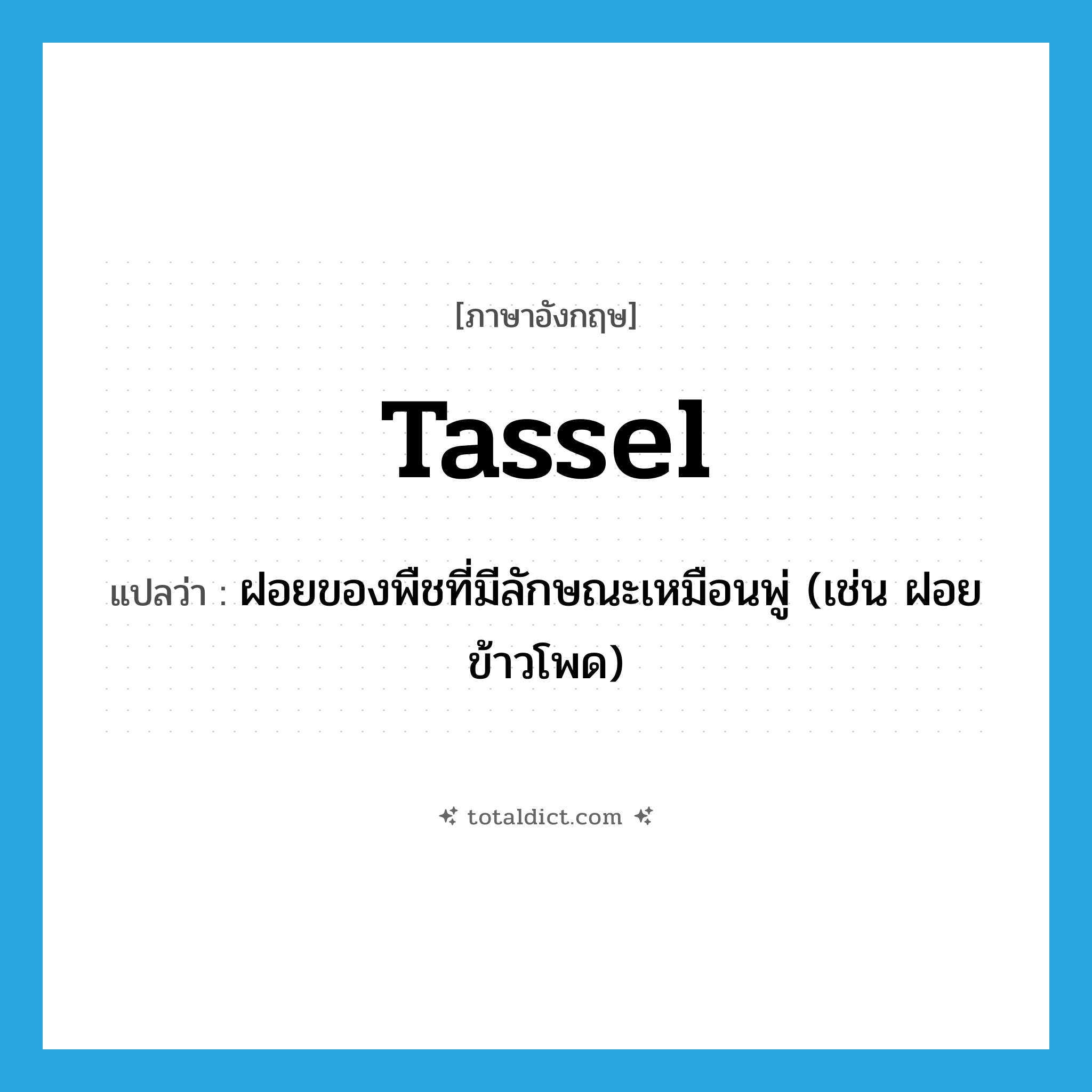 tassel แปลว่า?, คำศัพท์ภาษาอังกฤษ tassel แปลว่า ฝอยของพืชที่มีลักษณะเหมือนพู่ (เช่น ฝอยข้าวโพด) ประเภท N หมวด N