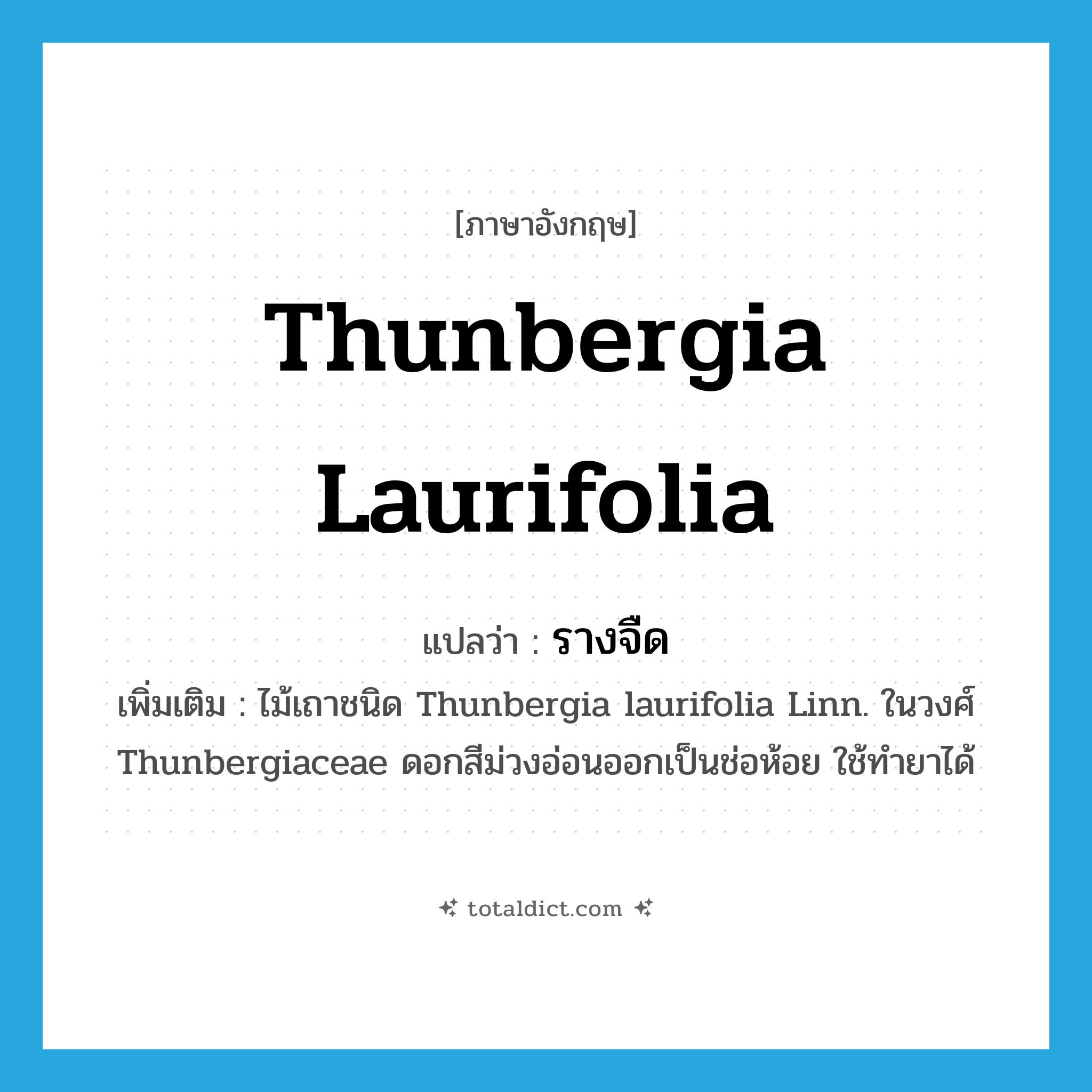 Thunbergia laurifolia แปลว่า?, คำศัพท์ภาษาอังกฤษ Thunbergia laurifolia แปลว่า รางจืด ประเภท N เพิ่มเติม ไม้เถาชนิด Thunbergia laurifolia Linn. ในวงศ์ Thunbergiaceae ดอกสีม่วงอ่อนออกเป็นช่อห้อย ใช้ทำยาได้ หมวด N