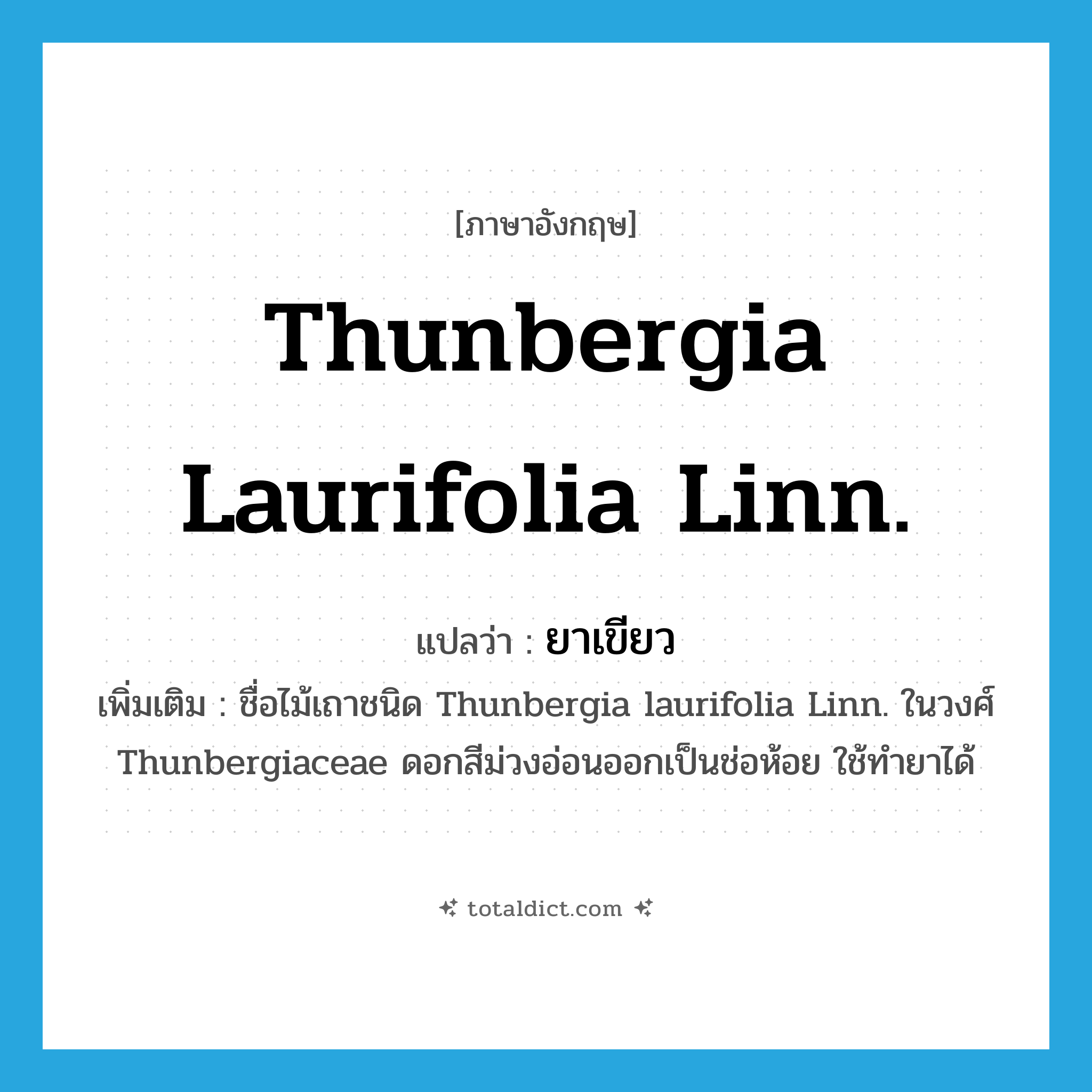 Thunbergia laurifolia Linn. แปลว่า?, คำศัพท์ภาษาอังกฤษ Thunbergia laurifolia Linn. แปลว่า ยาเขียว ประเภท N เพิ่มเติม ชื่อไม้เถาชนิด Thunbergia laurifolia Linn. ในวงศ์ Thunbergiaceae ดอกสีม่วงอ่อนออกเป็นช่อห้อย ใช้ทำยาได้ หมวด N