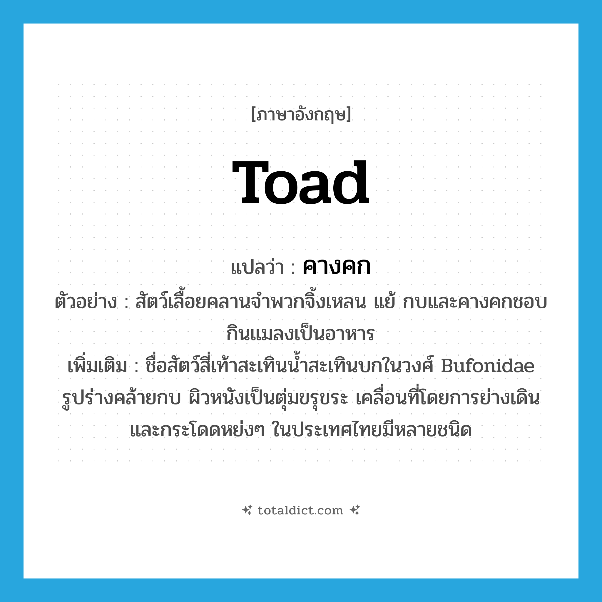 toad แปลว่า?, คำศัพท์ภาษาอังกฤษ toad แปลว่า คางคก ประเภท N ตัวอย่าง สัตว์เลื้อยคลานจำพวกจิ้งเหลน แย้ กบและคางคกชอบกินแมลงเป็นอาหาร เพิ่มเติม ชื่อสัตว์สี่เท้าสะเทินน้ำสะเทินบกในวงศ์ Bufonidae รูปร่างคล้ายกบ ผิวหนังเป็นตุ่มขรุขระ เคลื่อนที่โดยการย่างเดินและกระโดดหย่งๆ ในประเทศไทยมีหลายชนิด หมวด N