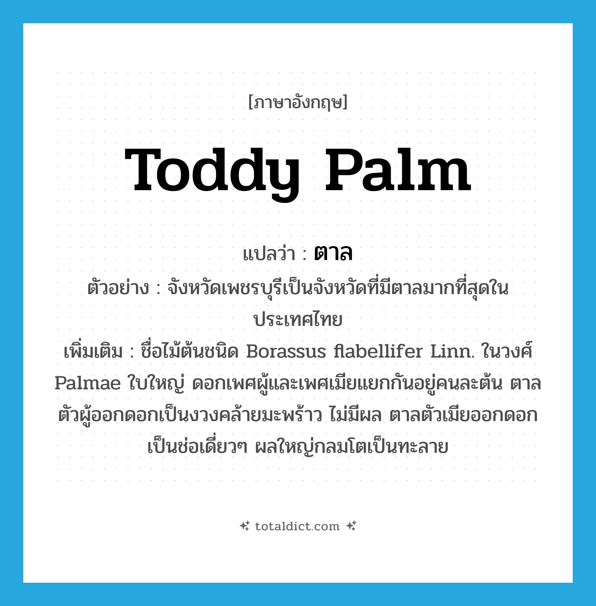 Toddy palm แปลว่า?, คำศัพท์ภาษาอังกฤษ Toddy palm แปลว่า ตาล ประเภท N ตัวอย่าง จังหวัดเพชรบุรีเป็นจังหวัดที่มีตาลมากที่สุดในประเทศไทย เพิ่มเติม ชื่อไม้ต้นชนิด Borassus flabellifer Linn. ในวงศ์ Palmae ใบใหญ่ ดอกเพศผู้และเพศเมียแยกกันอยู่คนละต้น ตาลตัวผู้ออกดอกเป็นงวงคล้ายมะพร้าว ไม่มีผล ตาลตัวเมียออกดอกเป็นช่อเดี่ยวๆ ผลใหญ่กลมโตเป็นทะลาย หมวด N