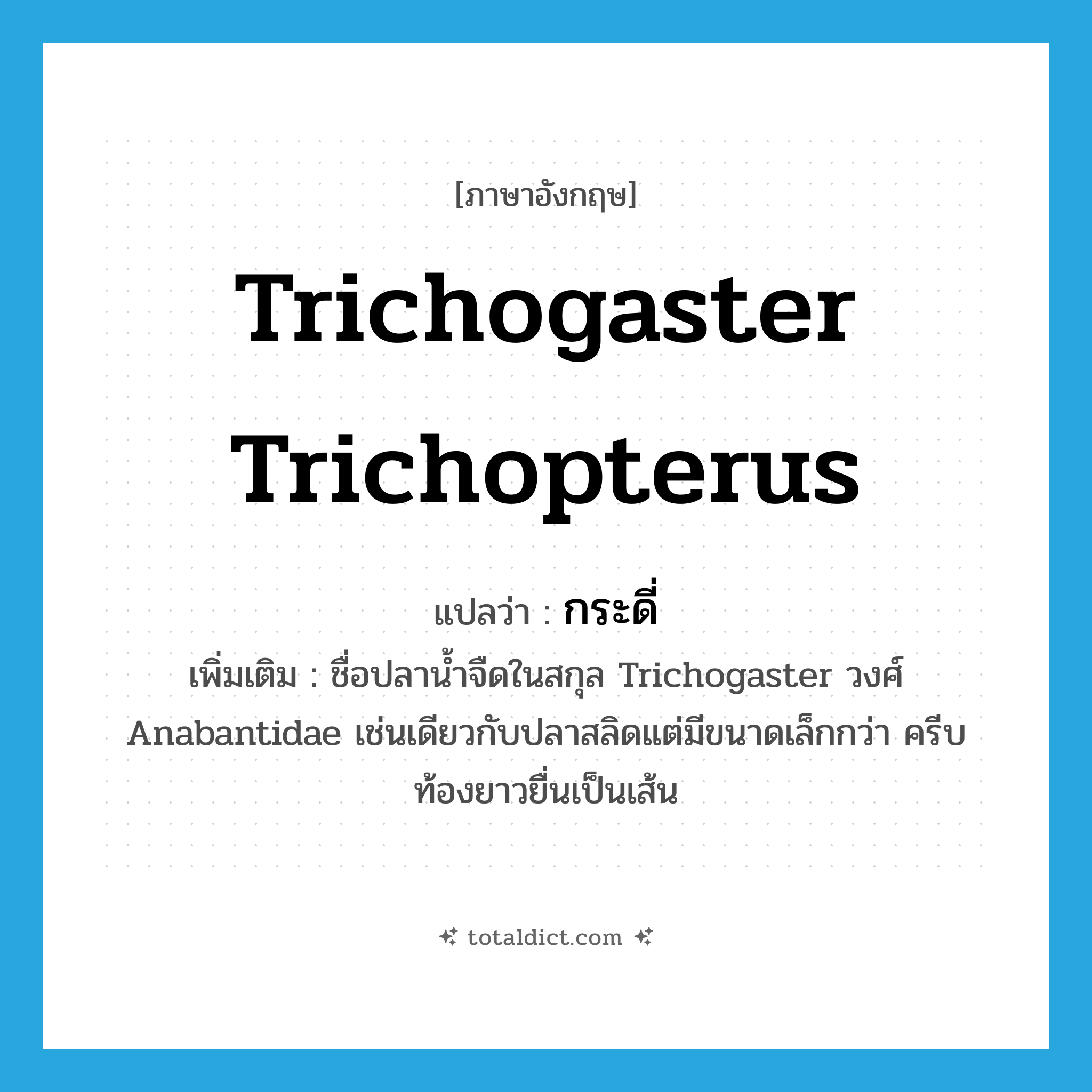 Trichogaster trichopterus แปลว่า?, คำศัพท์ภาษาอังกฤษ Trichogaster trichopterus แปลว่า กระดี่ ประเภท N เพิ่มเติม ชื่อปลาน้ำจืดในสกุล Trichogaster วงศ์ Anabantidae เช่นเดียวกับปลาสลิดแต่มีขนาดเล็กกว่า ครีบท้องยาวยื่นเป็นเส้น หมวด N