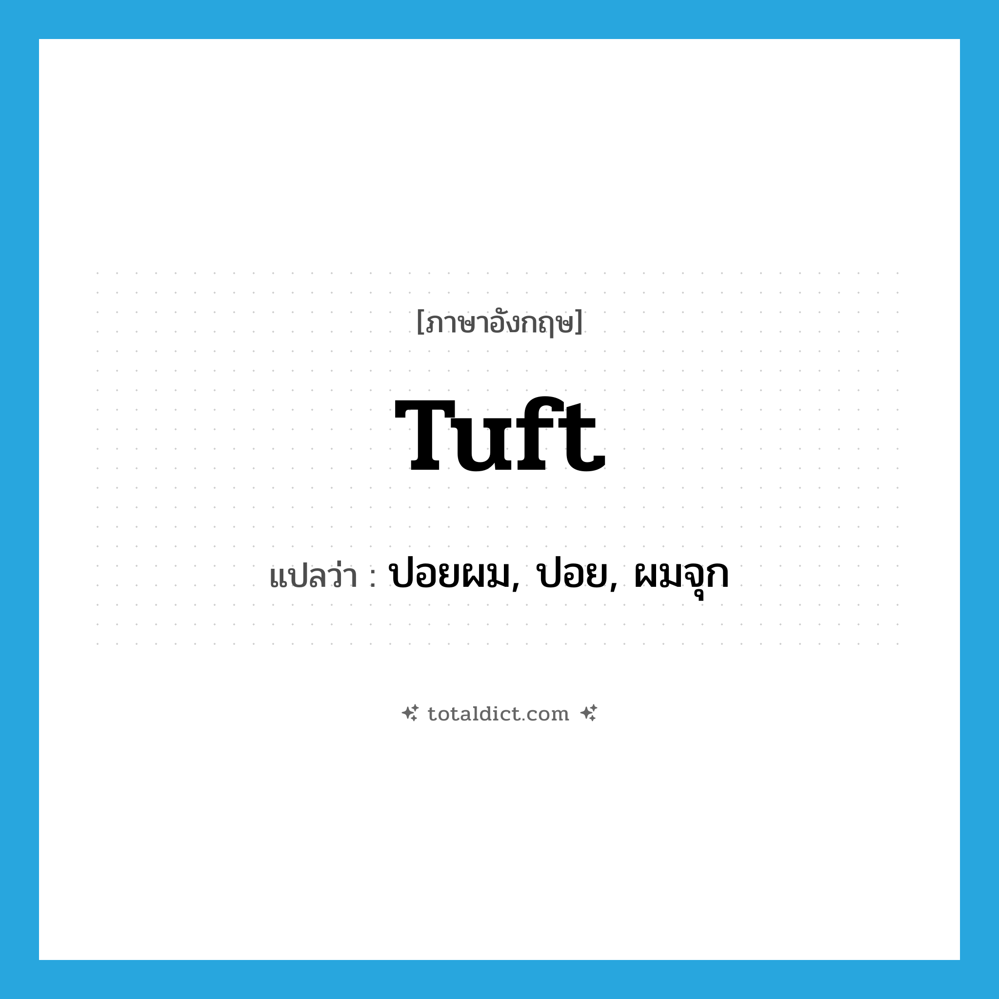 tuft แปลว่า?, คำศัพท์ภาษาอังกฤษ tuft แปลว่า ปอยผม, ปอย, ผมจุก ประเภท N หมวด N