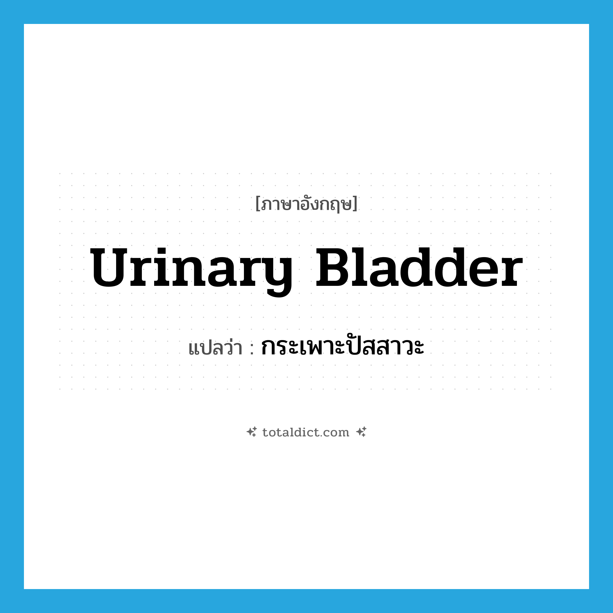 urinary bladder แปลว่า?, คำศัพท์ภาษาอังกฤษ urinary bladder แปลว่า กระเพาะปัสสาวะ ประเภท N หมวด N