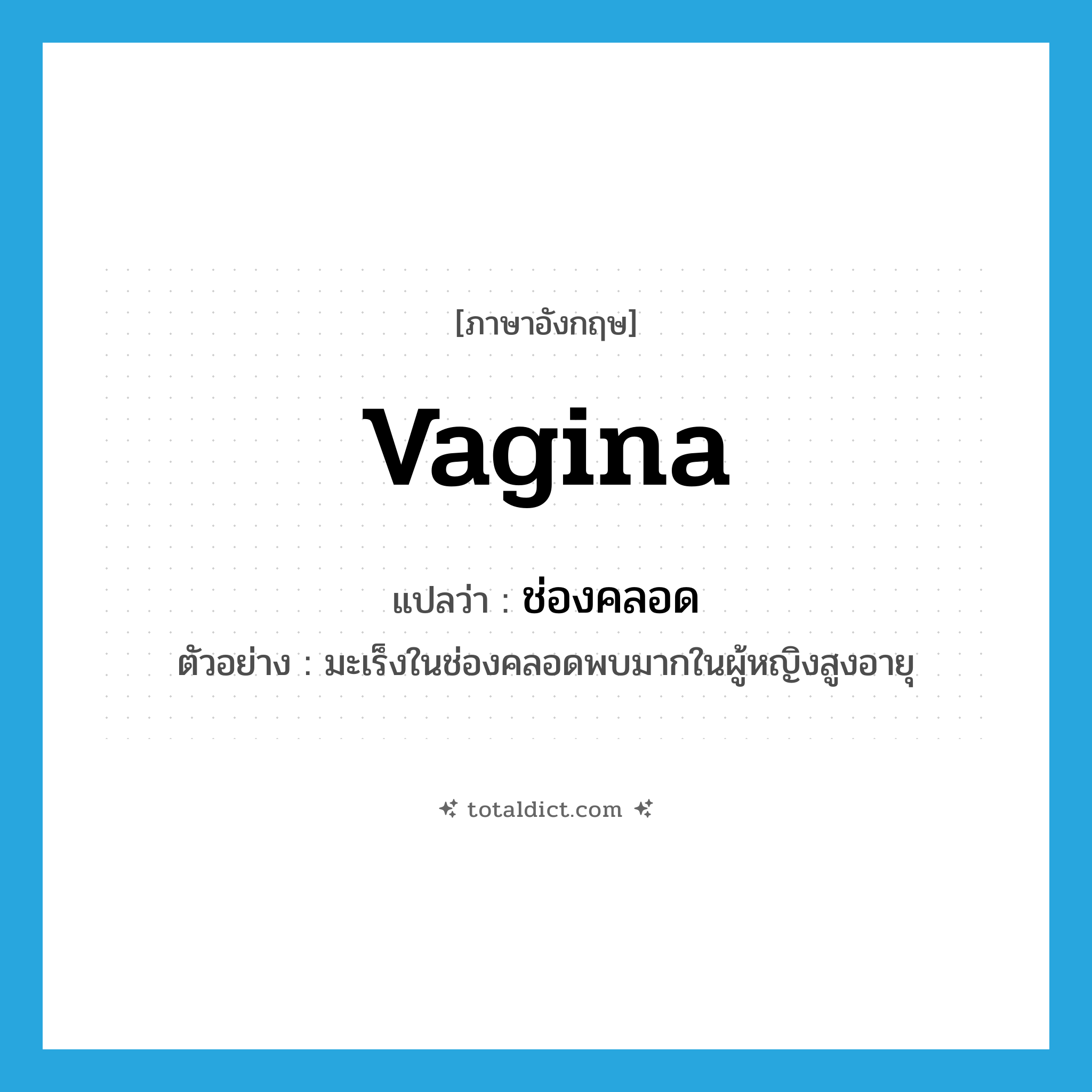 vagina แปลว่า?, คำศัพท์ภาษาอังกฤษ vagina แปลว่า ช่องคลอด ประเภท N ตัวอย่าง มะเร็งในช่องคลอดพบมากในผู้หญิงสูงอายุ หมวด N