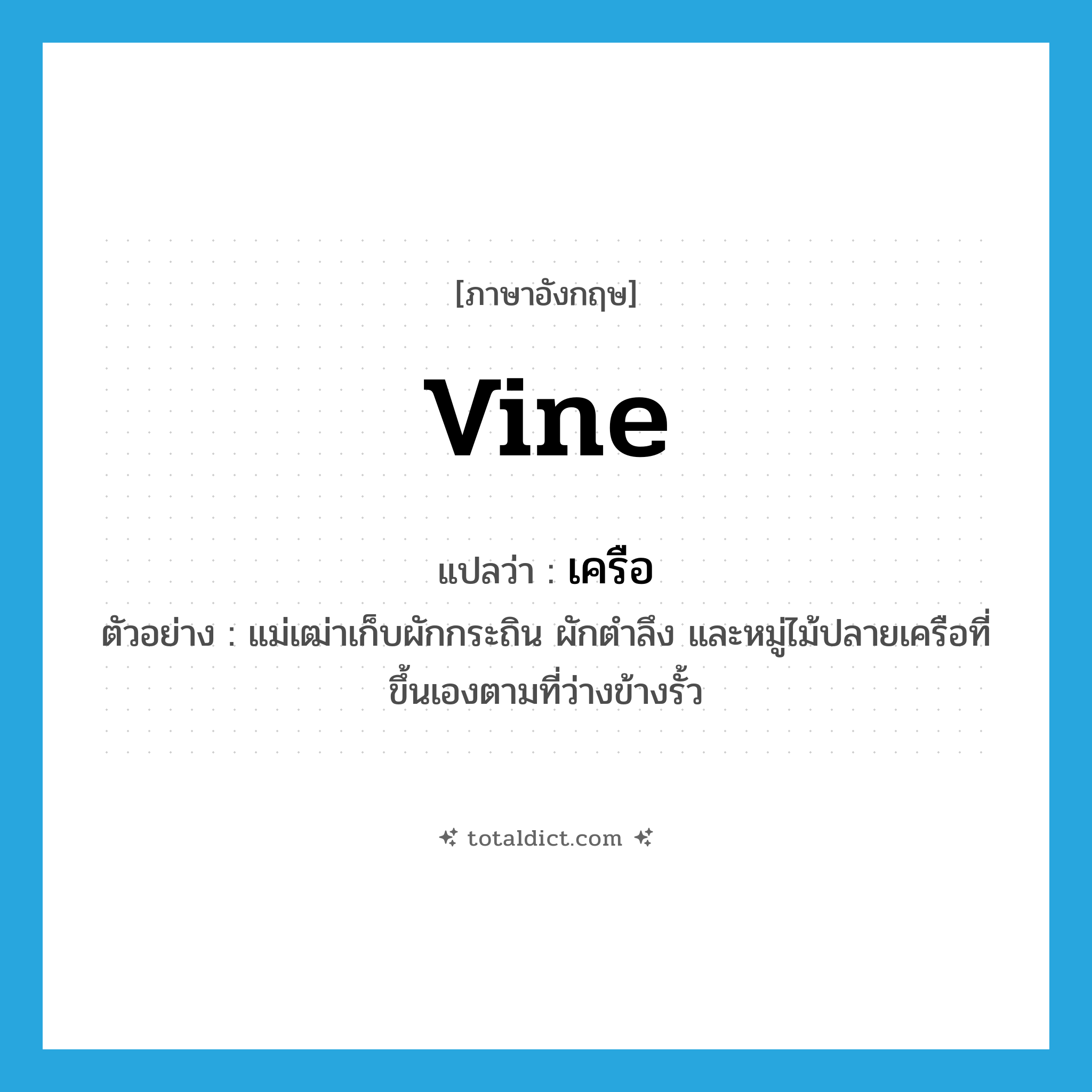 vine แปลว่า?, คำศัพท์ภาษาอังกฤษ vine แปลว่า เครือ ประเภท N ตัวอย่าง แม่เฒ่าเก็บผักกระถิน ผักตำลึง และหมู่ไม้ปลายเครือที่ขึ้นเองตามที่ว่างข้างรั้ว หมวด N