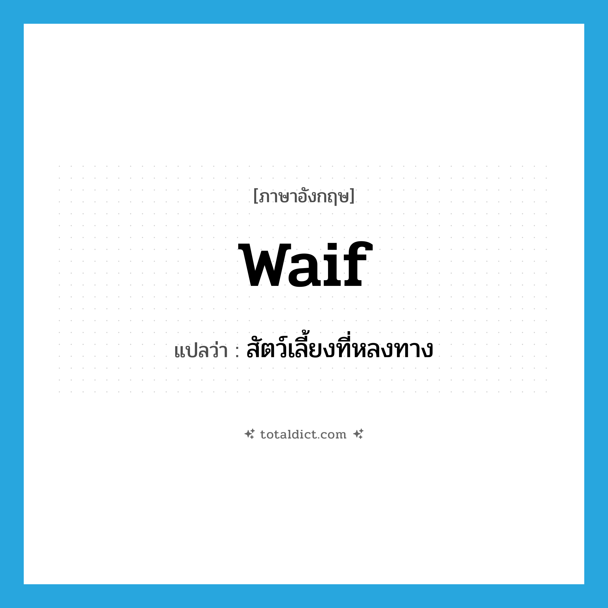 waif แปลว่า?, คำศัพท์ภาษาอังกฤษ waif แปลว่า สัตว์เลี้ยงที่หลงทาง ประเภท N หมวด N