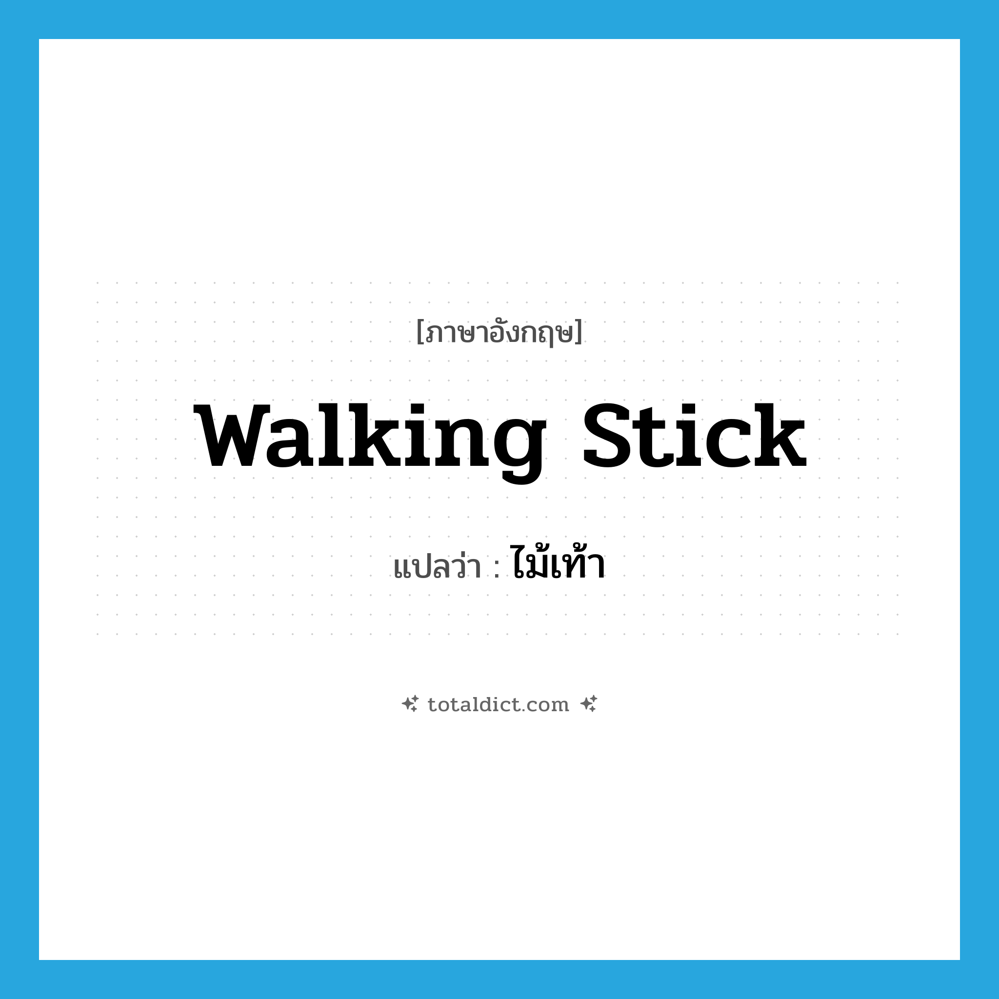 walking stick แปลว่า?, คำศัพท์ภาษาอังกฤษ walking stick แปลว่า ไม้เท้า ประเภท N หมวด N