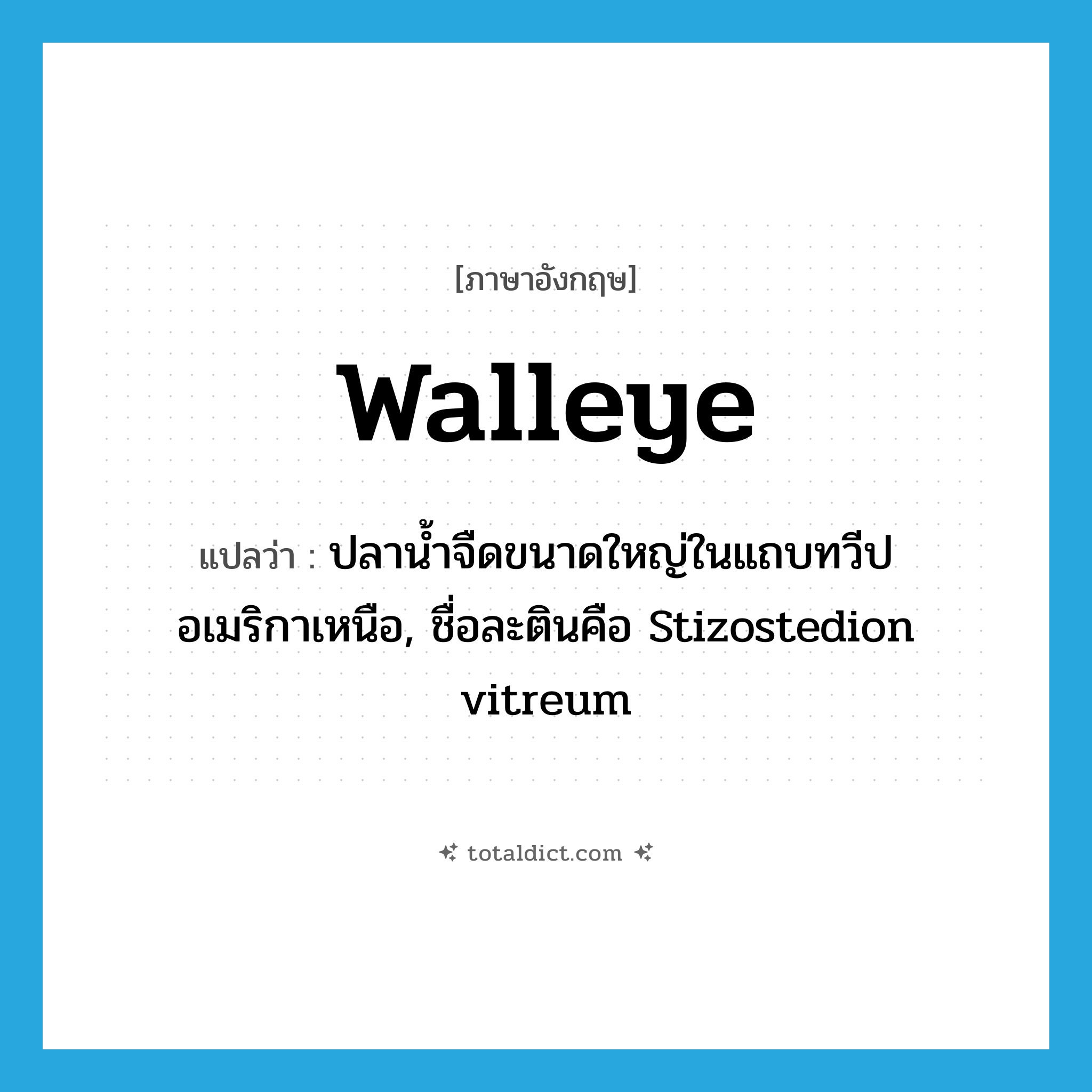 walleye แปลว่า?, คำศัพท์ภาษาอังกฤษ walleye แปลว่า ปลาน้ำจืดขนาดใหญ่ในแถบทวีปอเมริกาเหนือ, ชื่อละตินคือ Stizostedion vitreum ประเภท N หมวด N