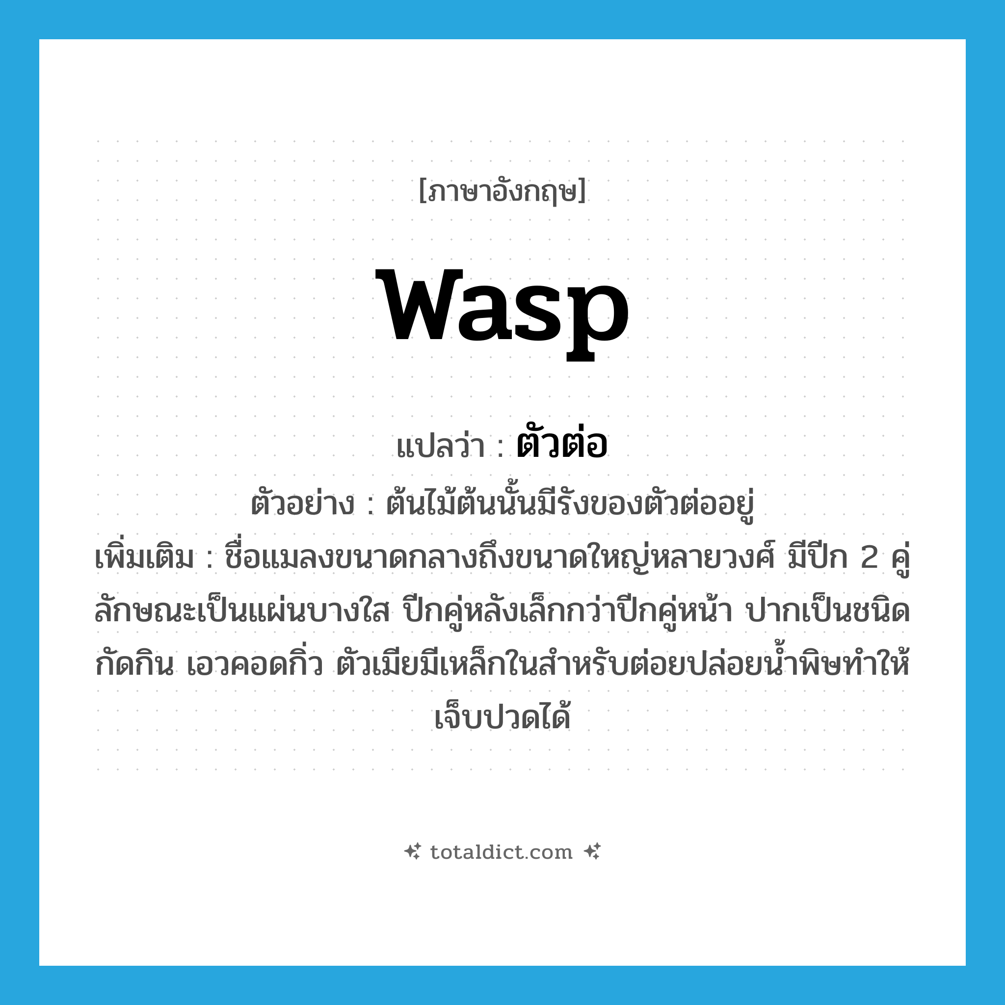 WASP แปลว่า?, คำศัพท์ภาษาอังกฤษ wasp แปลว่า ตัวต่อ ประเภท N ตัวอย่าง ต้นไม้ต้นนั้นมีรังของตัวต่ออยู่ เพิ่มเติม ชื่อแมลงขนาดกลางถึงขนาดใหญ่หลายวงศ์ มีปีก 2 คู่ ลักษณะเป็นแผ่นบางใส ปีกคู่หลังเล็กกว่าปีกคู่หน้า ปากเป็นชนิดกัดกิน เอวคอดกิ่ว ตัวเมียมีเหล็กในสำหรับต่อยปล่อยน้ำพิษทำให้เจ็บปวดได้ หมวด N