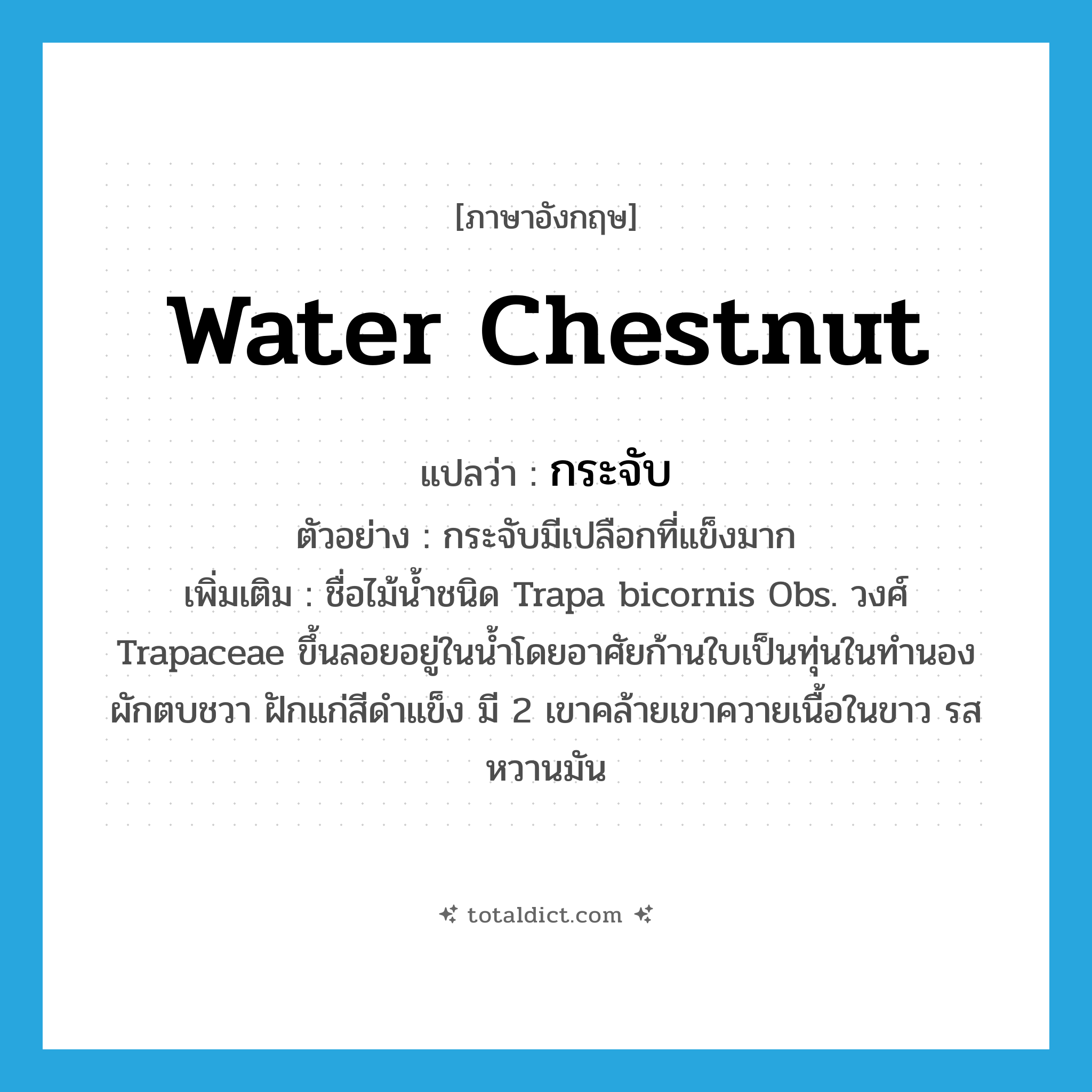 water chestnut แปลว่า?, คำศัพท์ภาษาอังกฤษ water chestnut แปลว่า กระจับ ประเภท N ตัวอย่าง กระจับมีเปลือกที่แข็งมาก เพิ่มเติม ชื่อไม้น้ำชนิด Trapa bicornis Obs. วงศ์ Trapaceae ขึ้นลอยอยู่ในน้ำโดยอาศัยก้านใบเป็นทุ่นในทำนองผักตบชวา ฝักแก่สีดำแข็ง มี 2 เขาคล้ายเขาควายเนื้อในขาว รสหวานมัน หมวด N