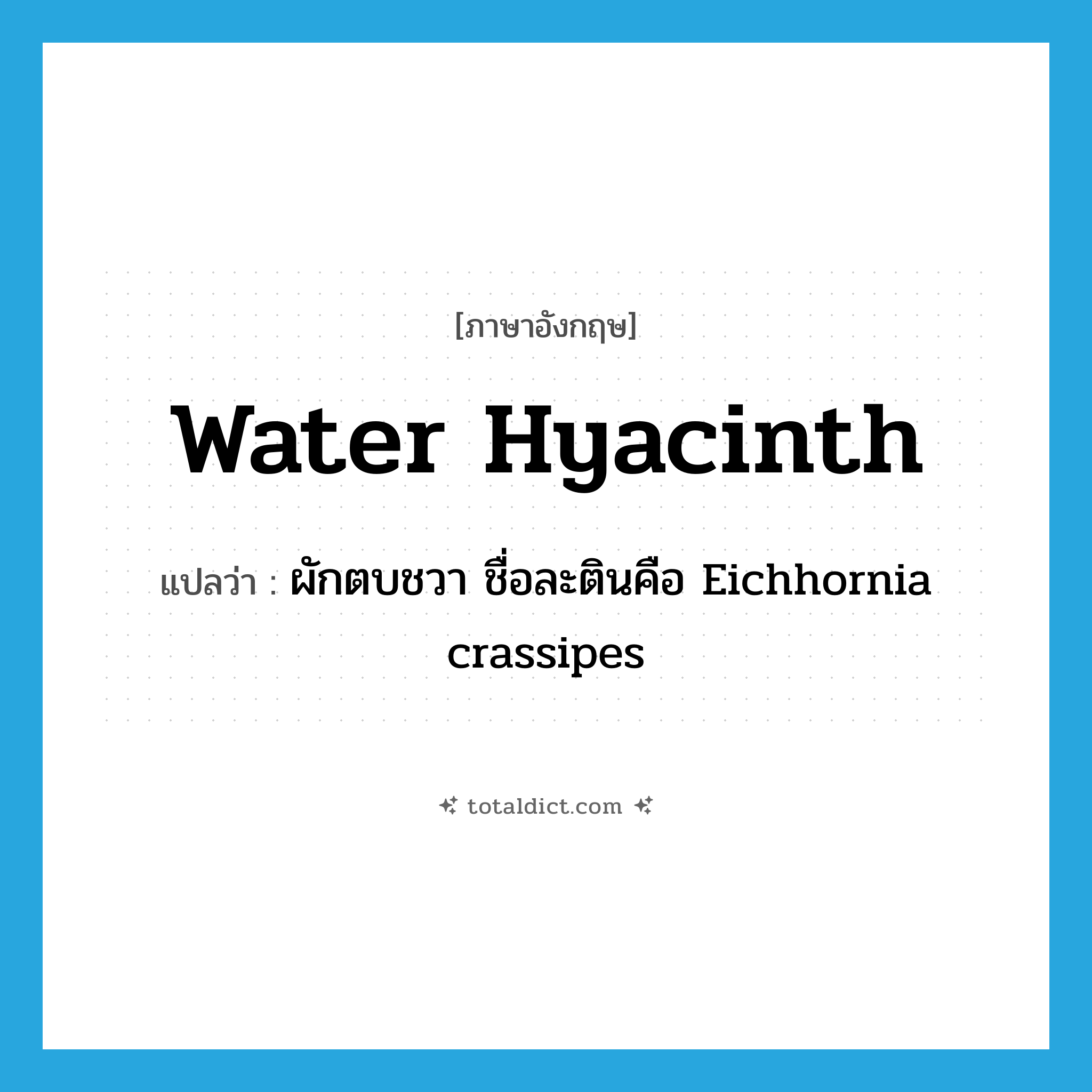 Water hyacinth แปลว่า?, คำศัพท์ภาษาอังกฤษ water hyacinth แปลว่า ผักตบชวา ชื่อละตินคือ Eichhornia crassipes ประเภท N หมวด N