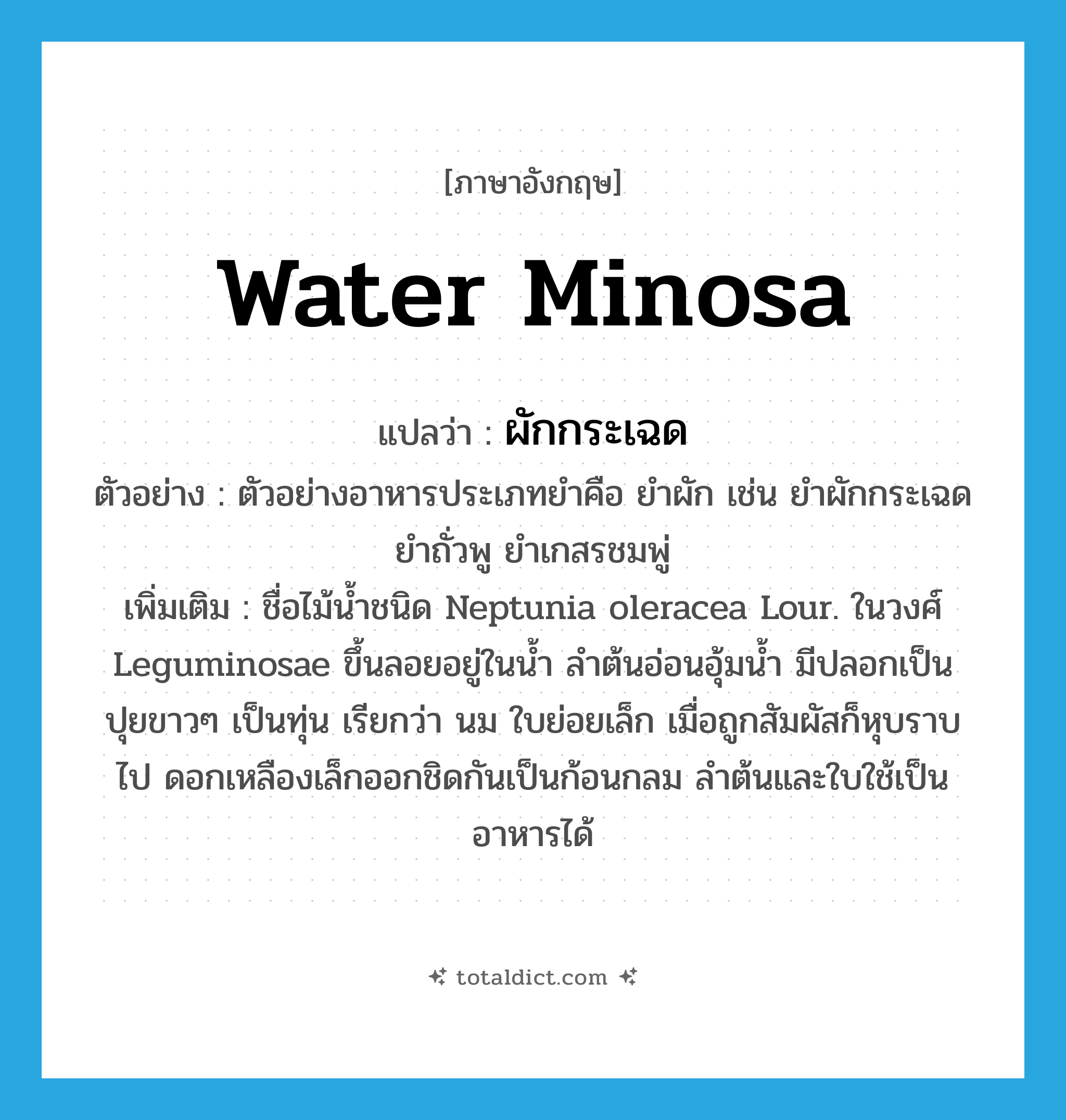 water minosa แปลว่า?, คำศัพท์ภาษาอังกฤษ water minosa แปลว่า ผักกระเฉด ประเภท N ตัวอย่าง ตัวอย่างอาหารประเภทยำคือ ยำผัก เช่น ยำผักกระเฉด ยำถั่วพู ยำเกสรชมพู่ เพิ่มเติม ชื่อไม้น้ำชนิด Neptunia oleracea Lour. ในวงศ์ Leguminosae ขึ้นลอยอยู่ในน้ำ ลำต้นอ่อนอุ้มน้ำ มีปลอกเป็นปุยขาวๆ เป็นทุ่น เรียกว่า นม ใบย่อยเล็ก เมื่อถูกสัมผัสก็หุบราบไป ดอกเหลืองเล็กออกชิดกันเป็นก้อนกลม ลำต้นและใบใช้เป็นอาหารได้ หมวด N