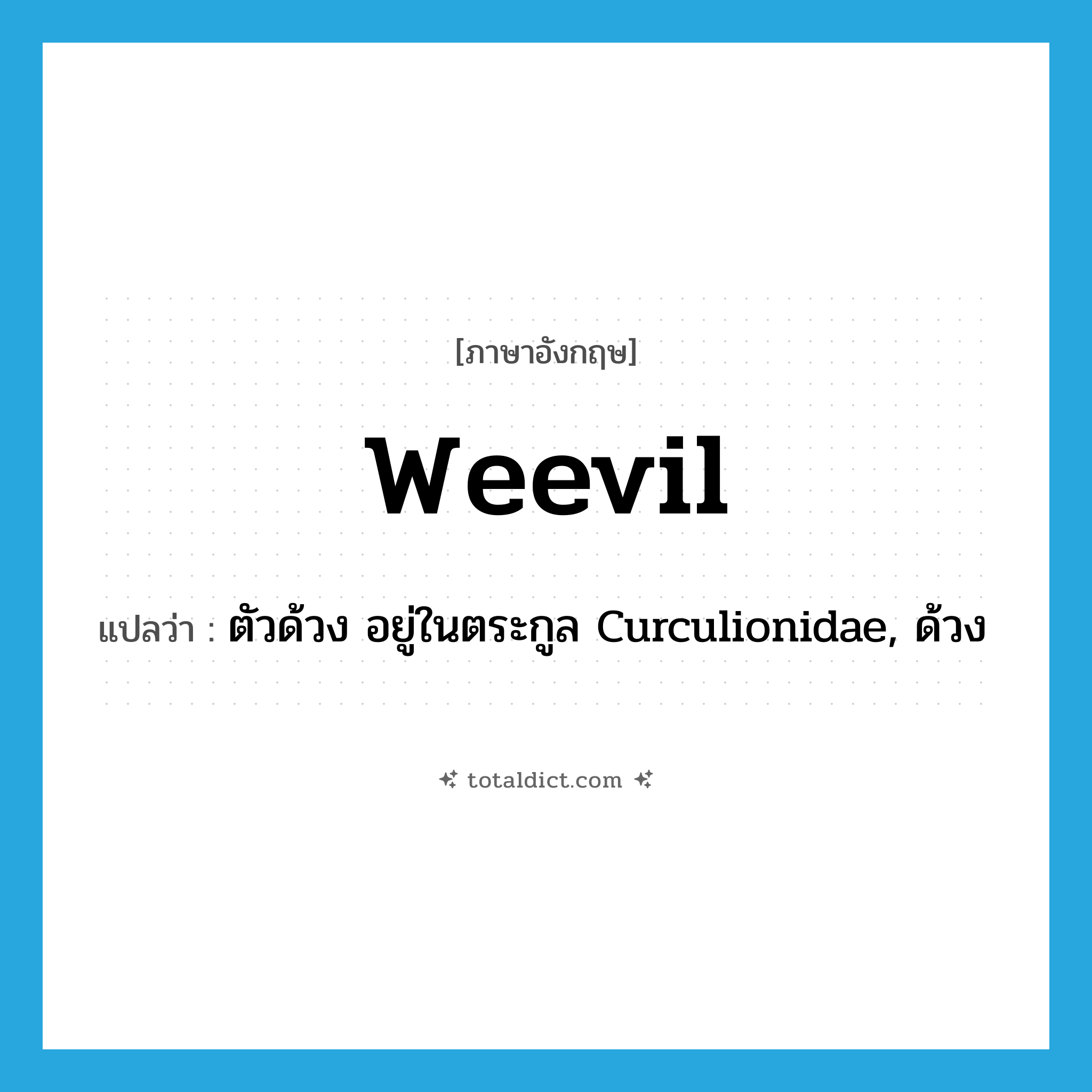 weevil แปลว่า?, คำศัพท์ภาษาอังกฤษ weevil แปลว่า ตัวด้วง อยู่ในตระกูล Curculionidae, ด้วง ประเภท N หมวด N