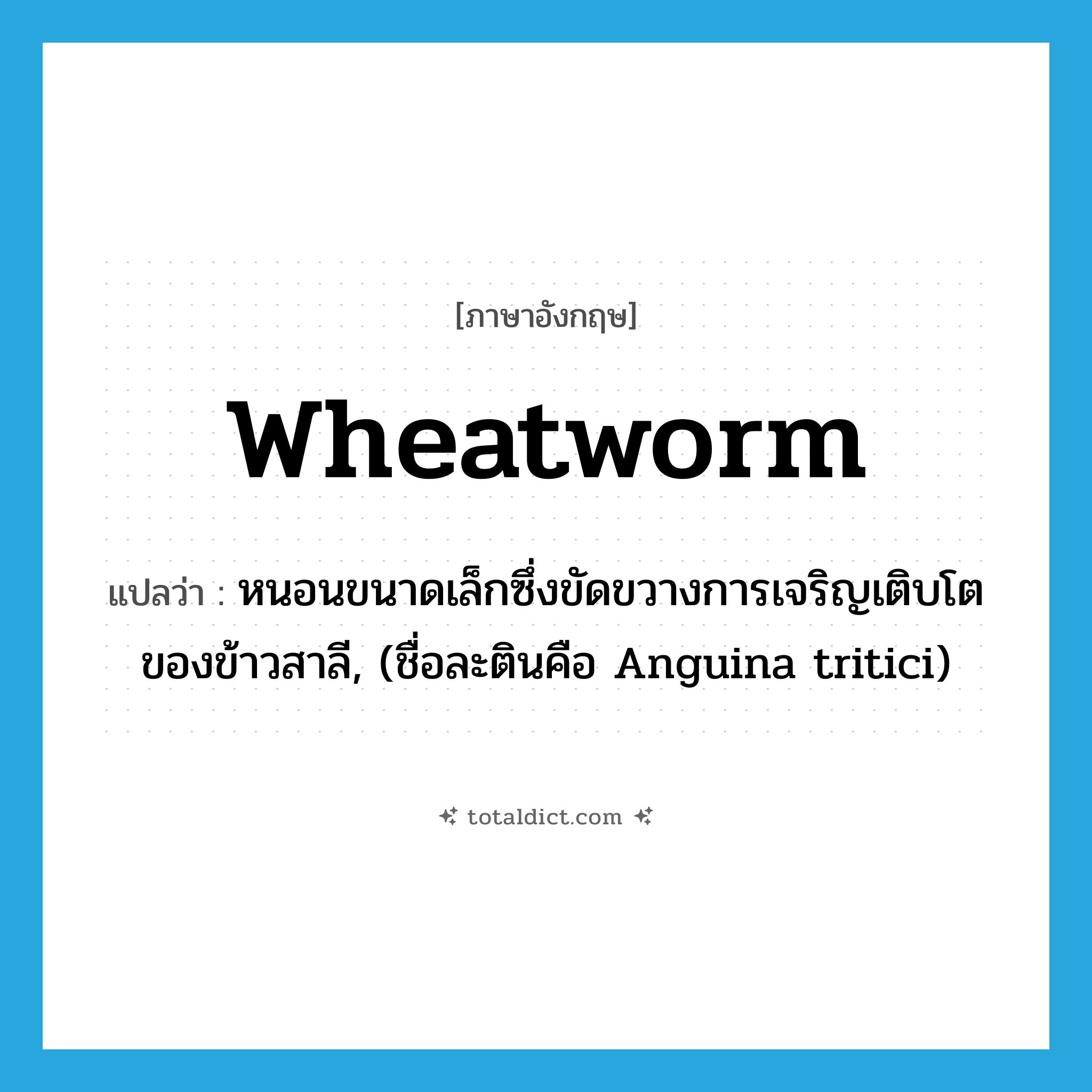 wheatworm แปลว่า?, คำศัพท์ภาษาอังกฤษ wheatworm แปลว่า หนอนขนาดเล็กซึ่งขัดขวางการเจริญเติบโตของข้าวสาลี, (ชื่อละตินคือ Anguina tritici) ประเภท N หมวด N