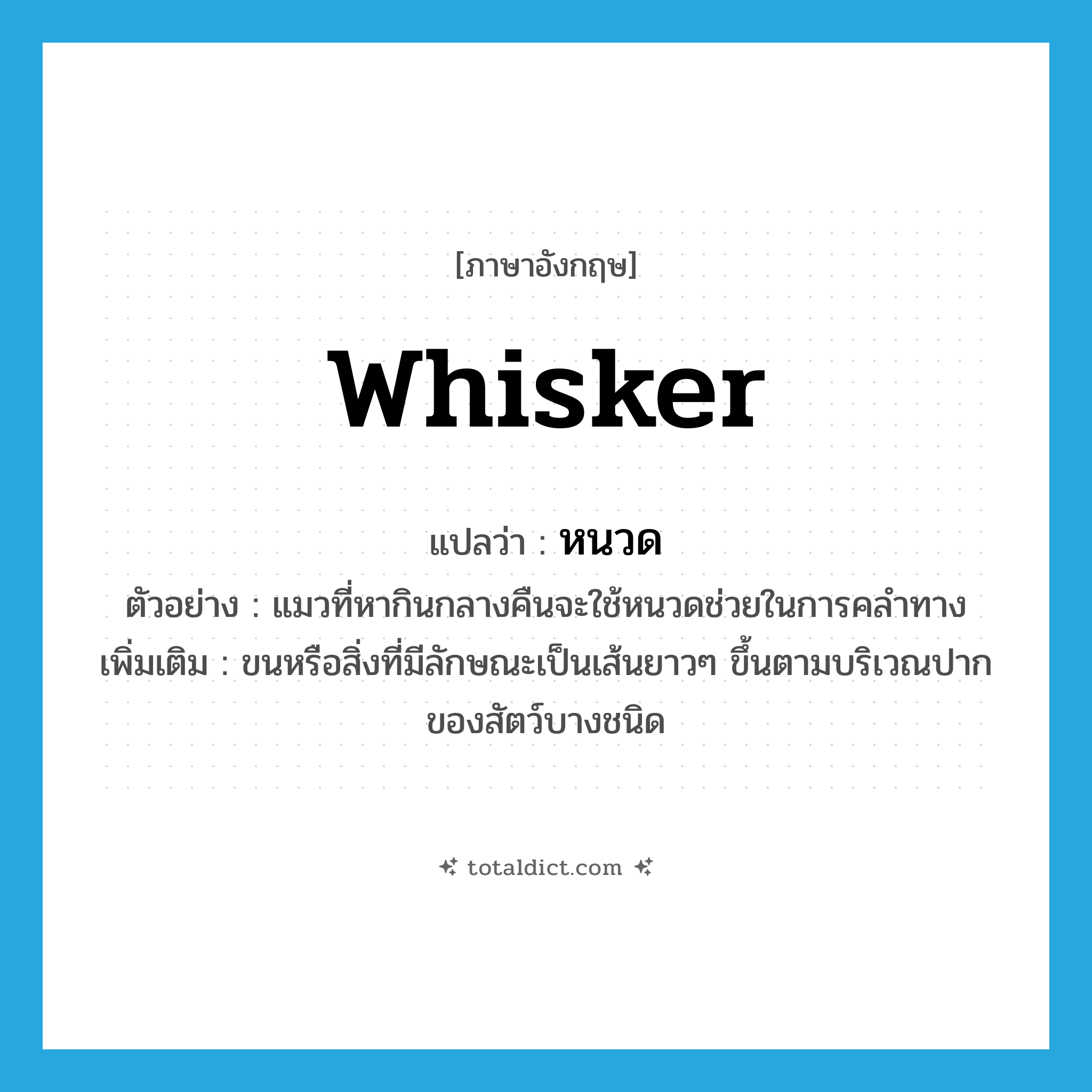 whisker แปลว่า?, คำศัพท์ภาษาอังกฤษ whisker แปลว่า หนวด ประเภท N ตัวอย่าง แมวที่หากินกลางคืนจะใช้หนวดช่วยในการคลำทาง เพิ่มเติม ขนหรือสิ่งที่มีลักษณะเป็นเส้นยาวๆ ขึ้นตามบริเวณปากของสัตว์บางชนิด หมวด N