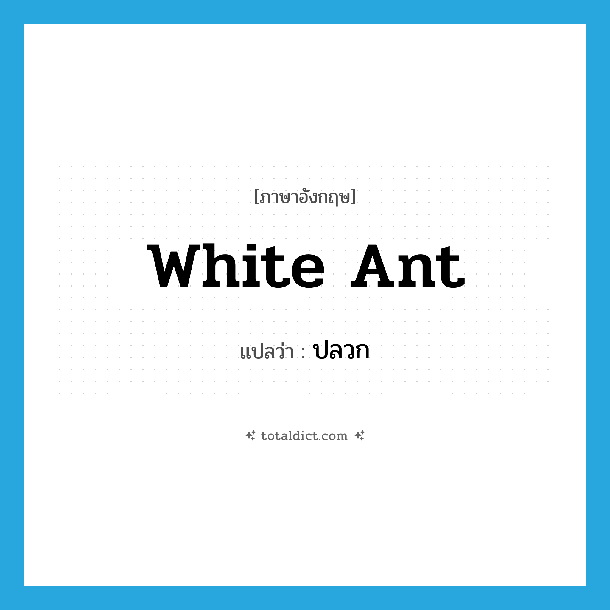 white ant แปลว่า?, คำศัพท์ภาษาอังกฤษ white ant แปลว่า ปลวก ประเภท N หมวด N