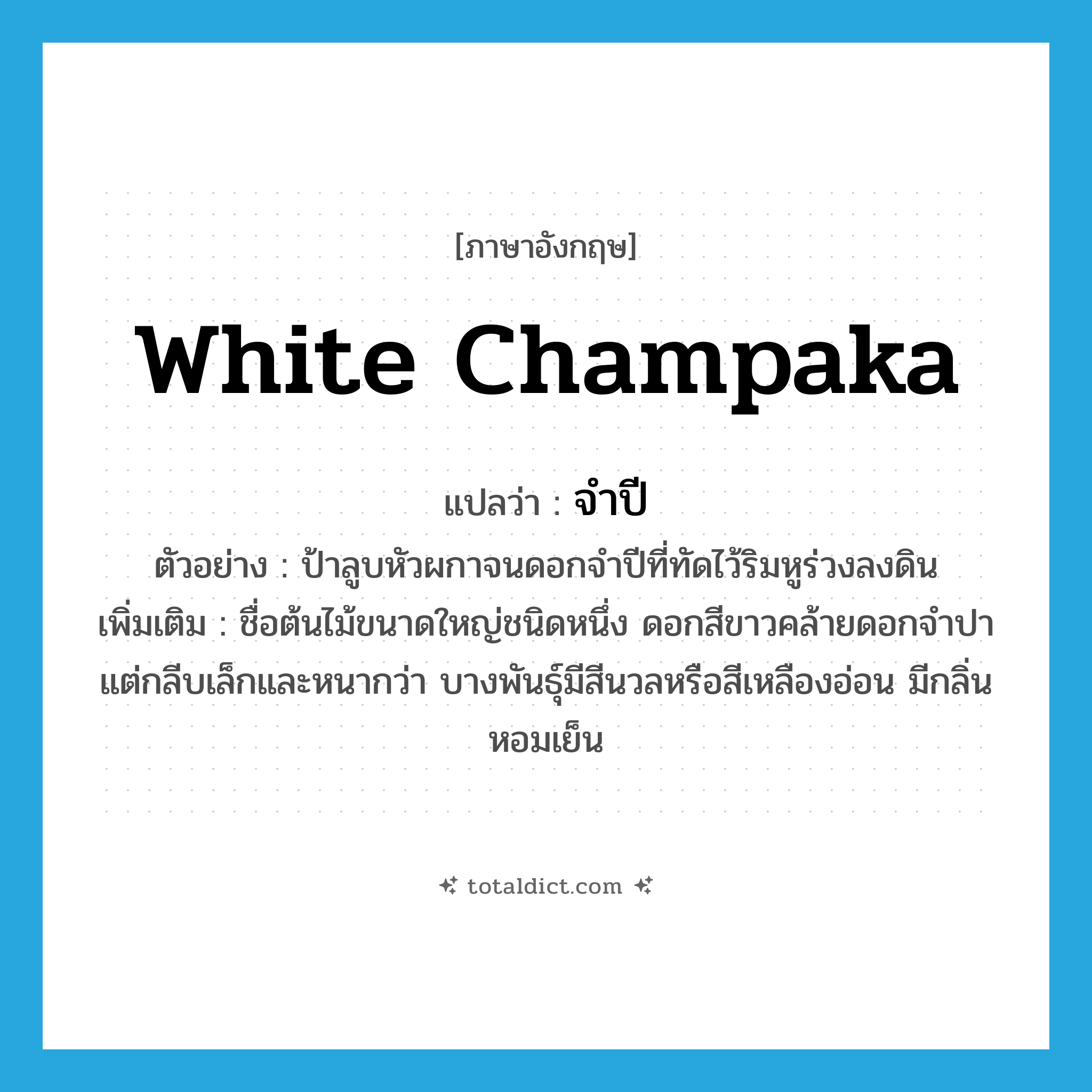 White Champaka แปลว่า?, คำศัพท์ภาษาอังกฤษ White Champaka แปลว่า จำปี ประเภท N ตัวอย่าง ป้าลูบหัวผกาจนดอกจำปีที่ทัดไว้ริมหูร่วงลงดิน เพิ่มเติม ชื่อต้นไม้ขนาดใหญ่ชนิดหนึ่ง ดอกสีขาวคล้ายดอกจำปา แต่กลีบเล็กและหนากว่า บางพันธุ์มีสีนวลหรือสีเหลืองอ่อน มีกลิ่นหอมเย็น หมวด N