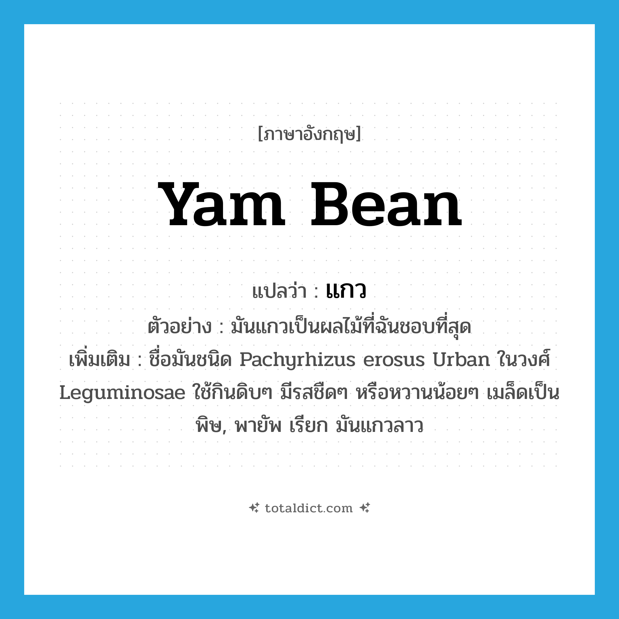 yam bean แปลว่า?, คำศัพท์ภาษาอังกฤษ yam bean แปลว่า แกว ประเภท N ตัวอย่าง มันแกวเป็นผลไม้ที่ฉันชอบที่สุด เพิ่มเติม ชื่อมันชนิด Pachyrhizus erosus Urban ในวงศ์ Leguminosae ใช้กินดิบๆ มีรสชืดๆ หรือหวานน้อยๆ เมล็ดเป็นพิษ, พายัพ เรียก มันแกวลาว หมวด N