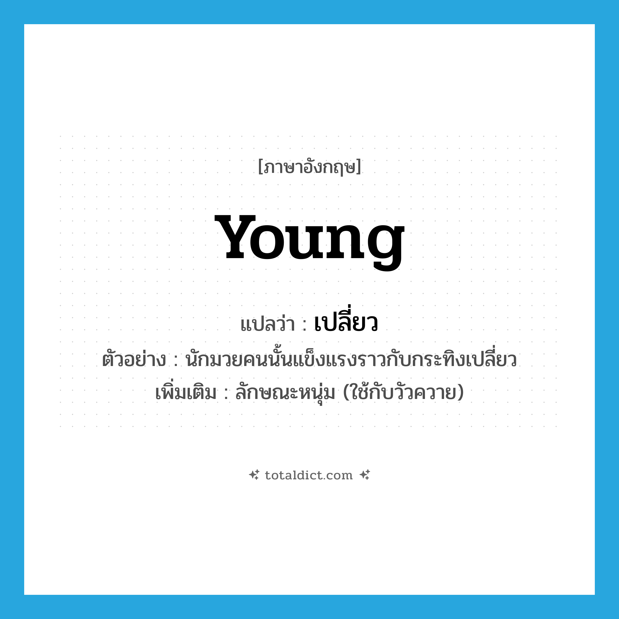 young แปลว่า?, คำศัพท์ภาษาอังกฤษ young แปลว่า เปลี่ยว ประเภท ADJ ตัวอย่าง นักมวยคนนั้นแข็งแรงราวกับกระทิงเปลี่ยว เพิ่มเติม ลักษณะหนุ่ม (ใช้กับวัวควาย) หมวด ADJ