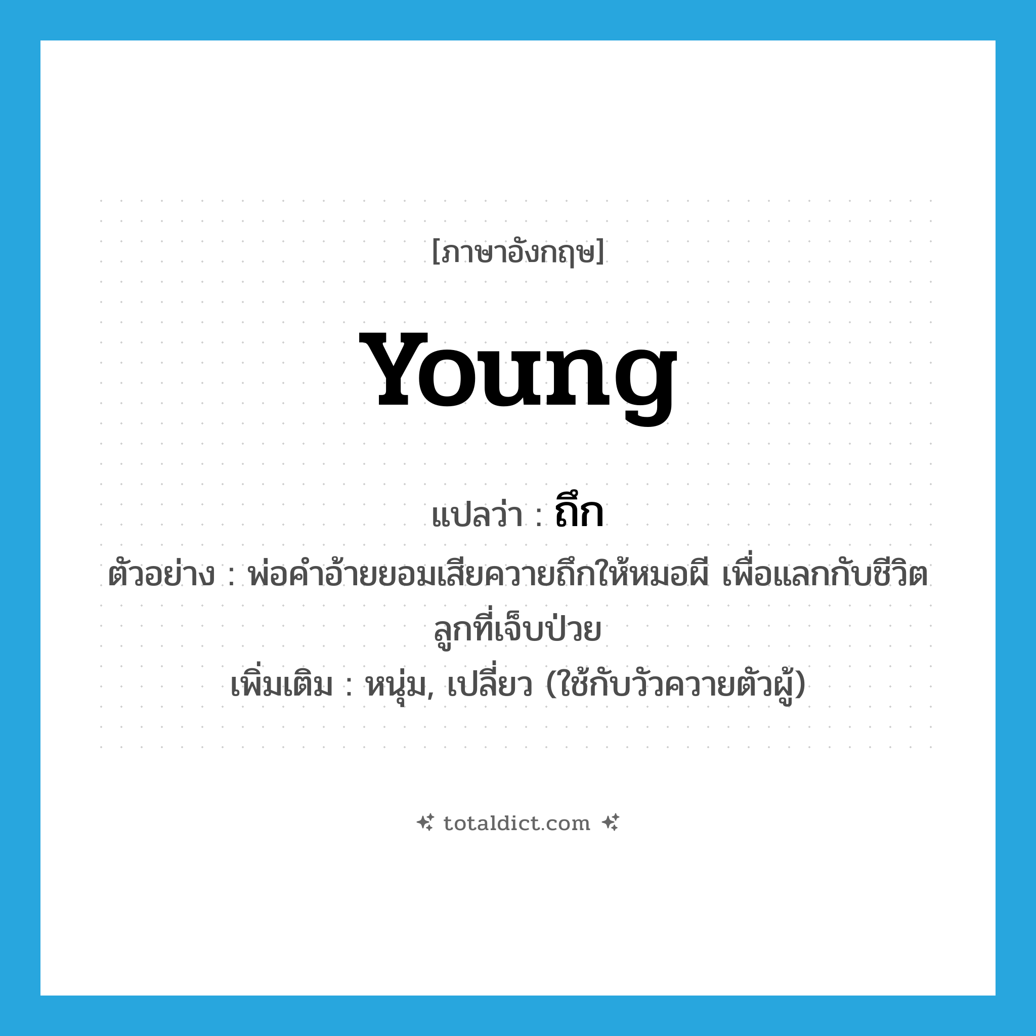 young แปลว่า?, คำศัพท์ภาษาอังกฤษ young แปลว่า ถึก ประเภท ADJ ตัวอย่าง พ่อคำอ้ายยอมเสียควายถึกให้หมอผี เพื่อแลกกับชีวิตลูกที่เจ็บป่วย เพิ่มเติม หนุ่ม, เปลี่ยว (ใช้กับวัวควายตัวผู้) หมวด ADJ