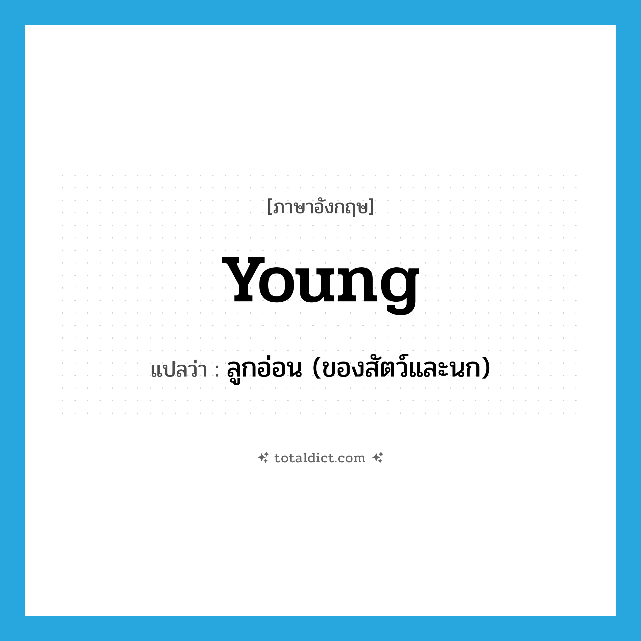 young แปลว่า?, คำศัพท์ภาษาอังกฤษ young แปลว่า ลูกอ่อน (ของสัตว์และนก) ประเภท N หมวด N